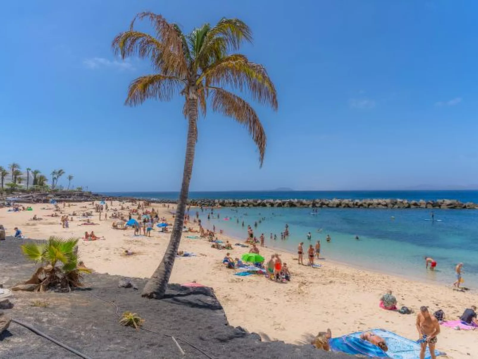 PLAYA FLAMINGO C - Image-tags.info