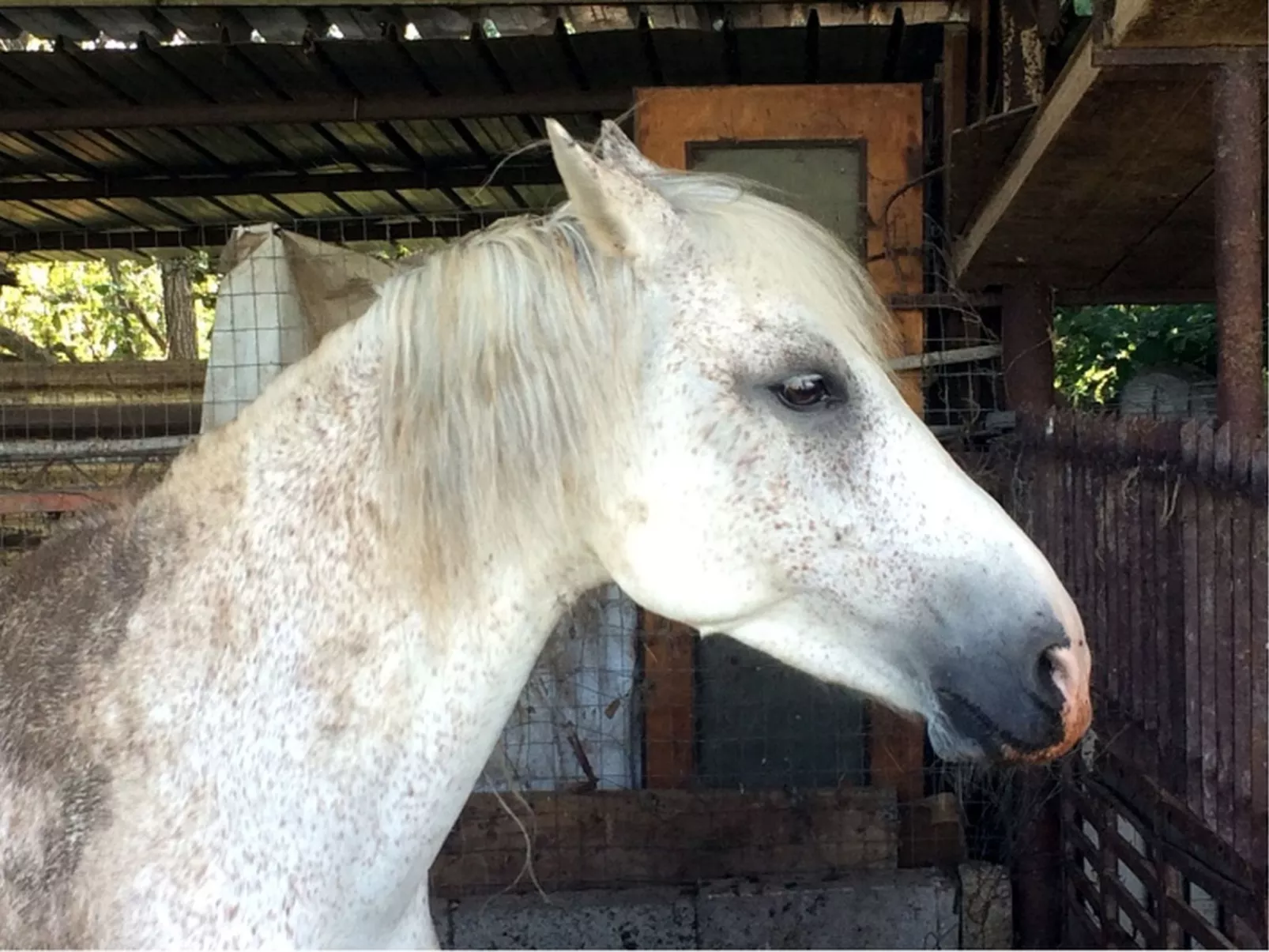 Lets di Proietti' Ferienhaus - Image-tags.info