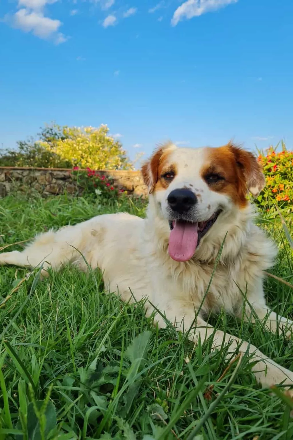 Landgut mit Blick auf das Wasser - Image-tags.info