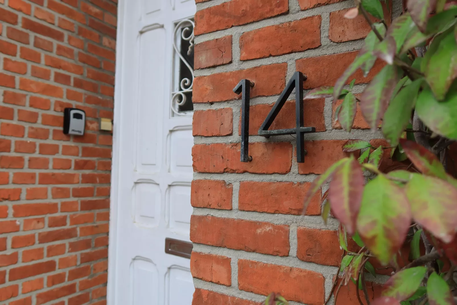 Cosy Courtyard House Hasselt - Buitenkant zomer