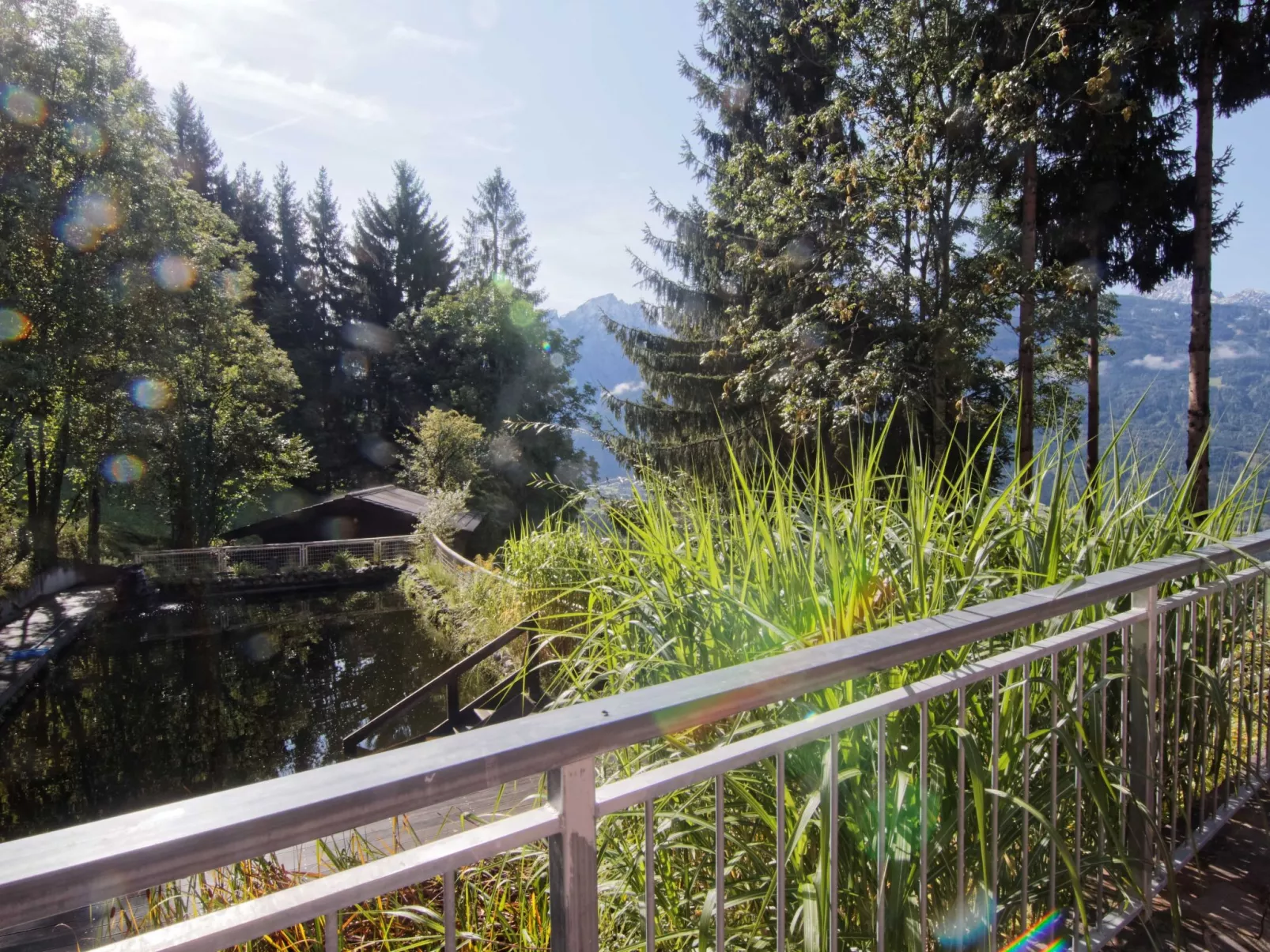 Jacob - Image-tags.info