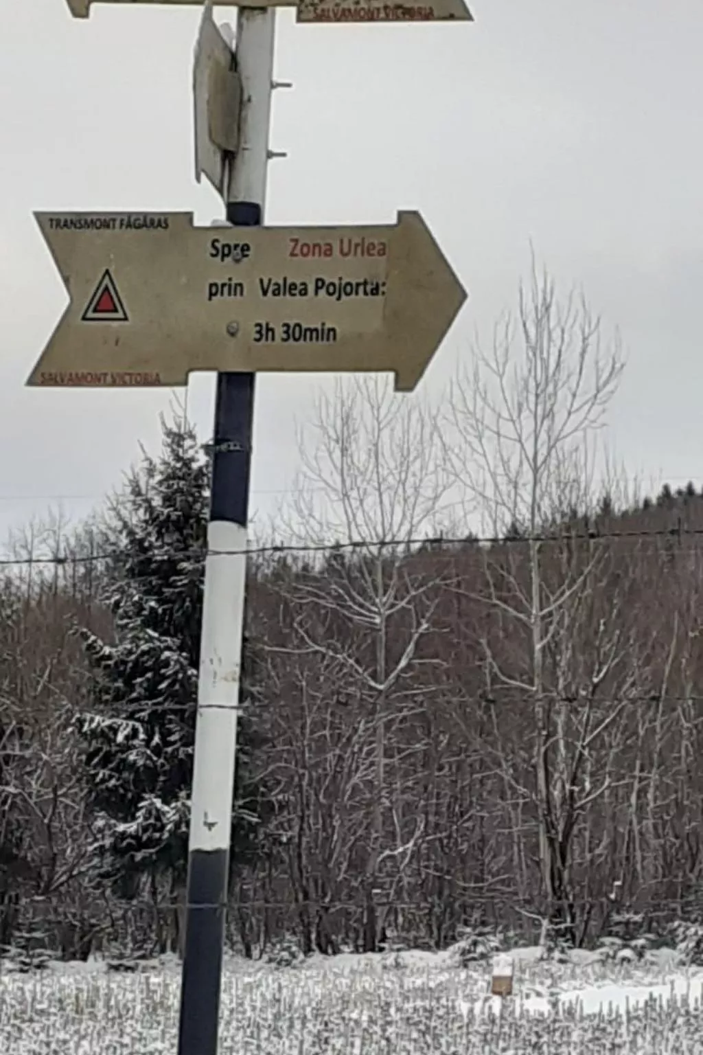 Vila Roberta Breaza Brasov - Image-tags.info