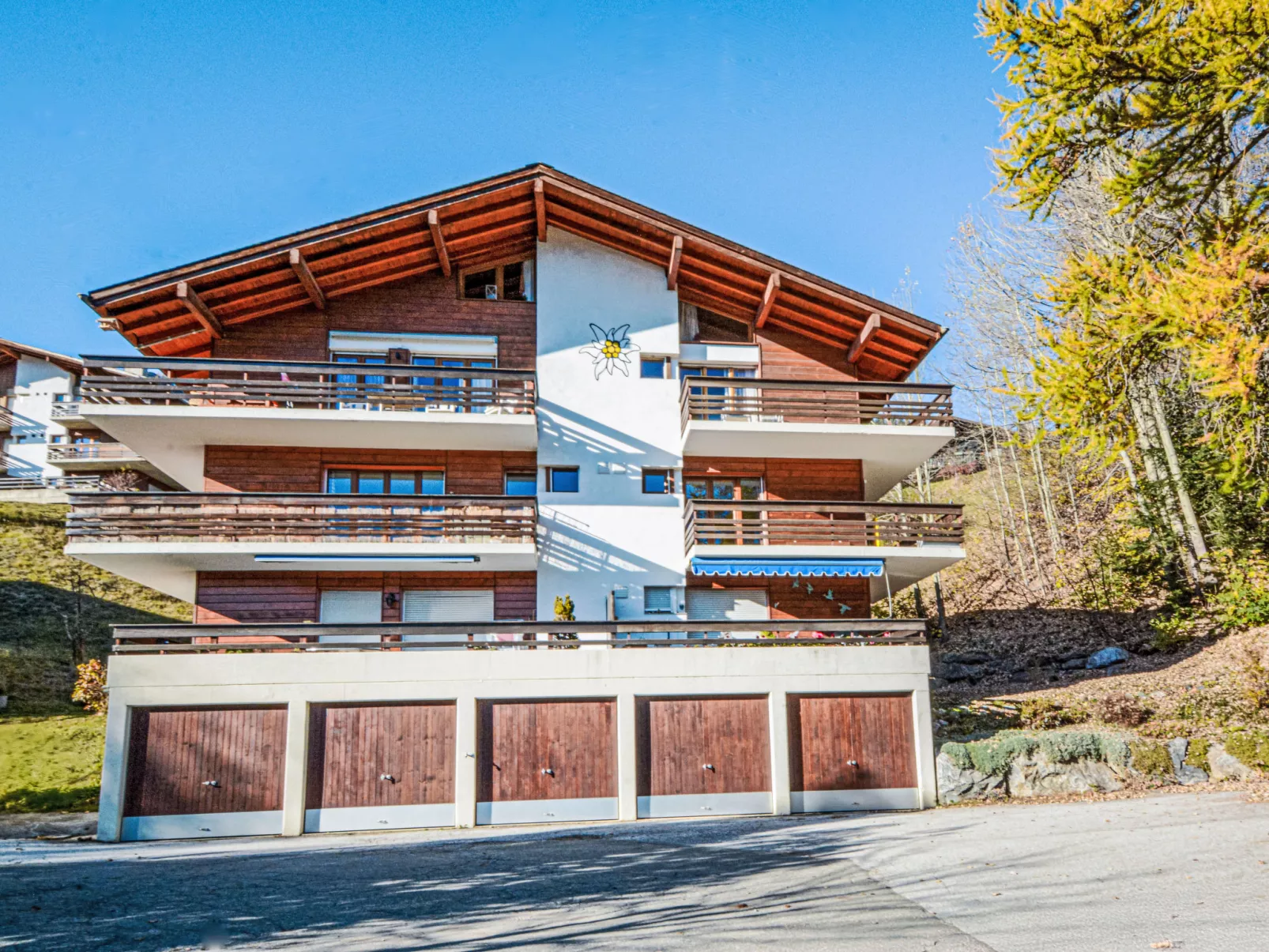 Tiny House facing the Alps - Ski in and out - Omgeving
