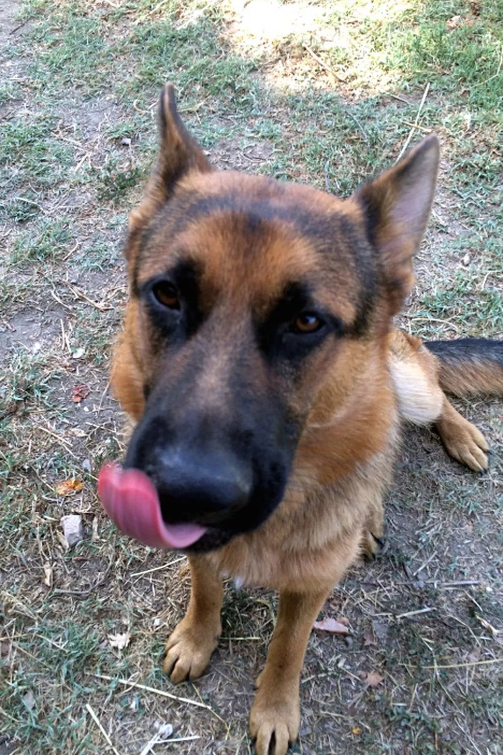 Lets di Proietti' Ferienhaus - Image-tags.info