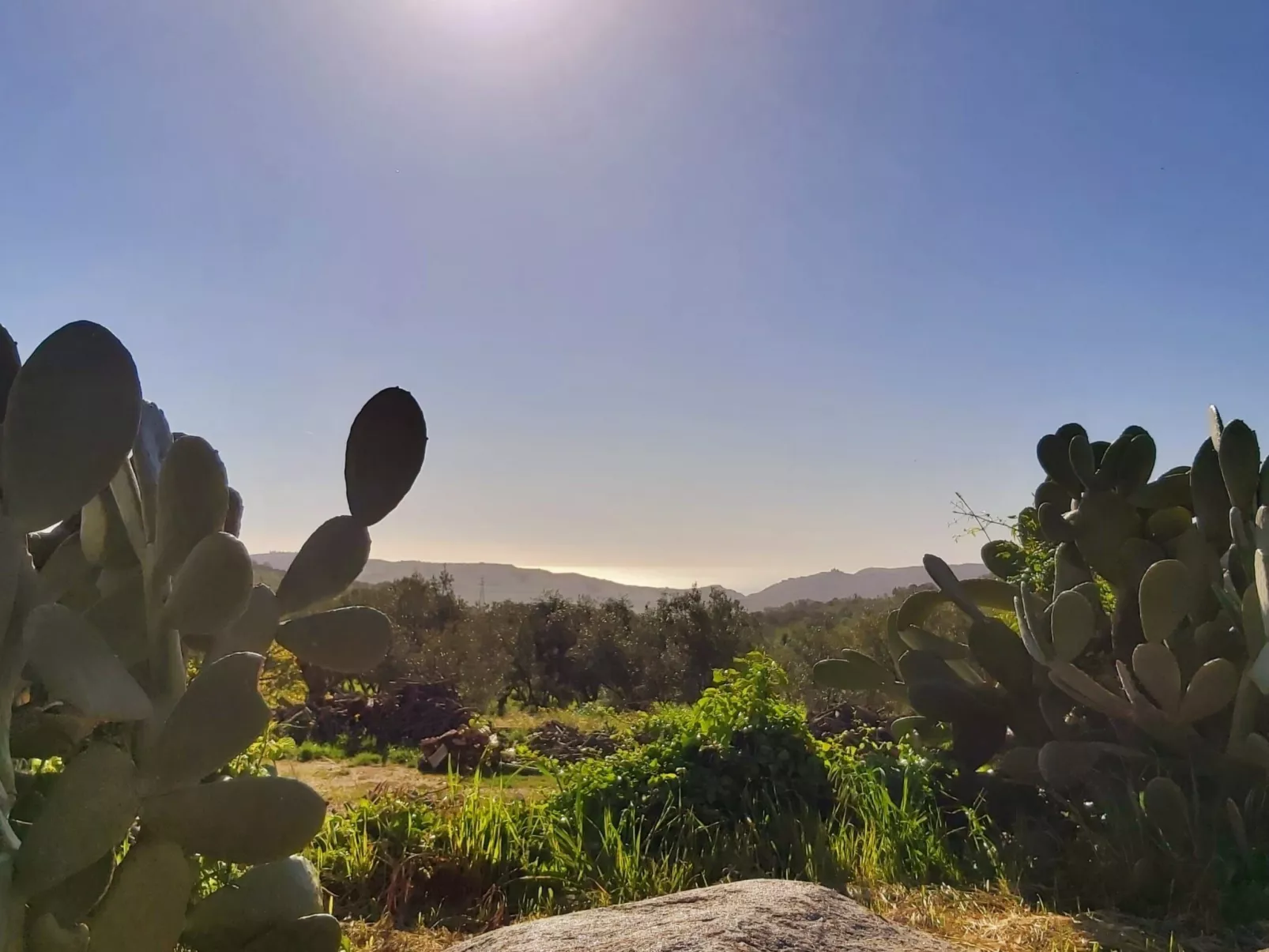 Landgut mit Blick auf das Wasser - Buiten