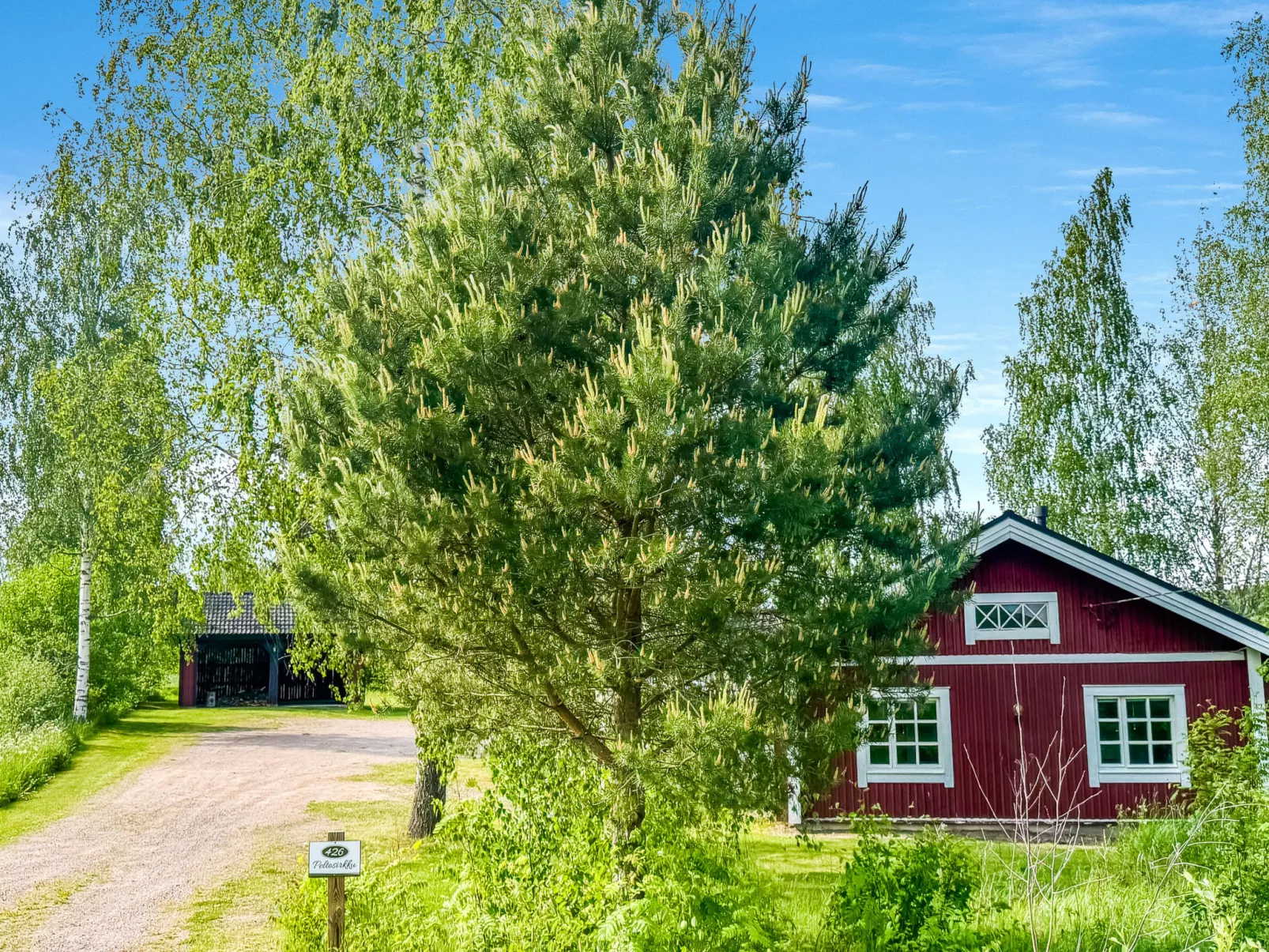 Peltosirkku - Binnen