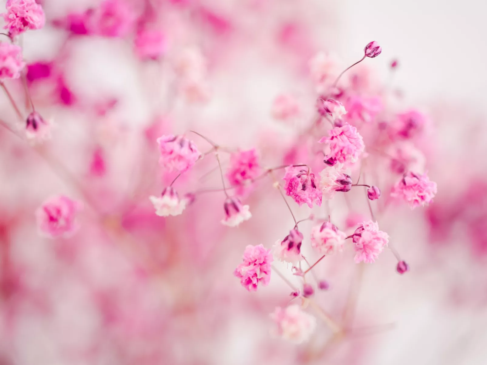 Waters Edge - Binnen