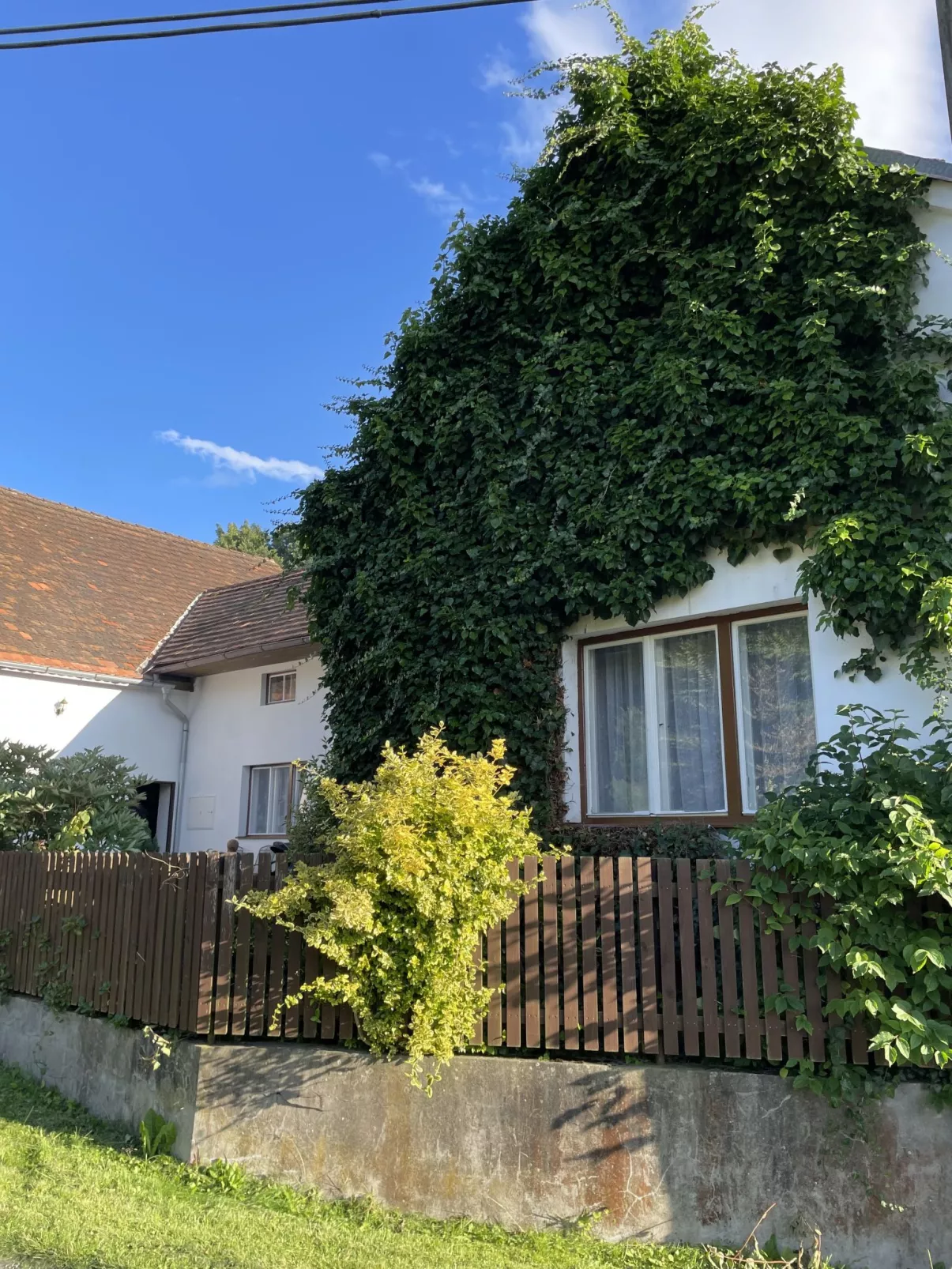 Forrest Haven Vodice - Buiten