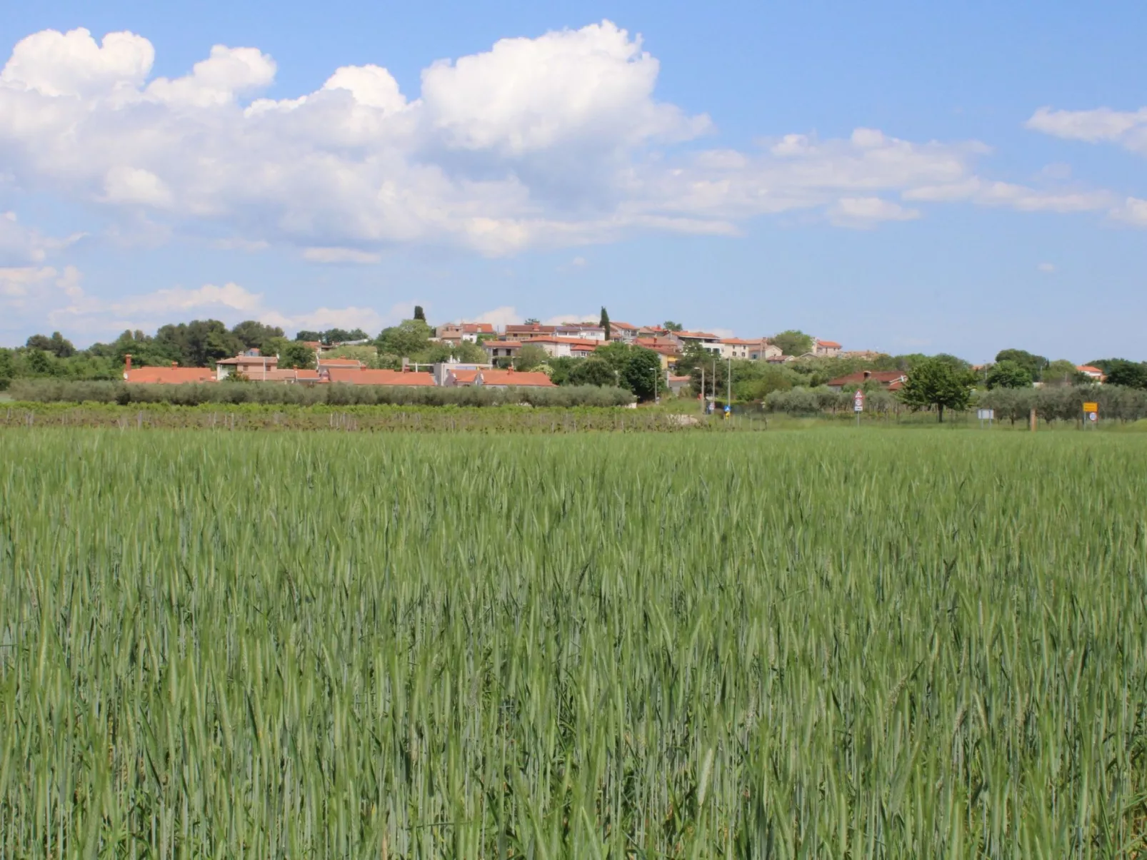 Villa Nel Rosa / HR-11037-01 - Image-tags.info