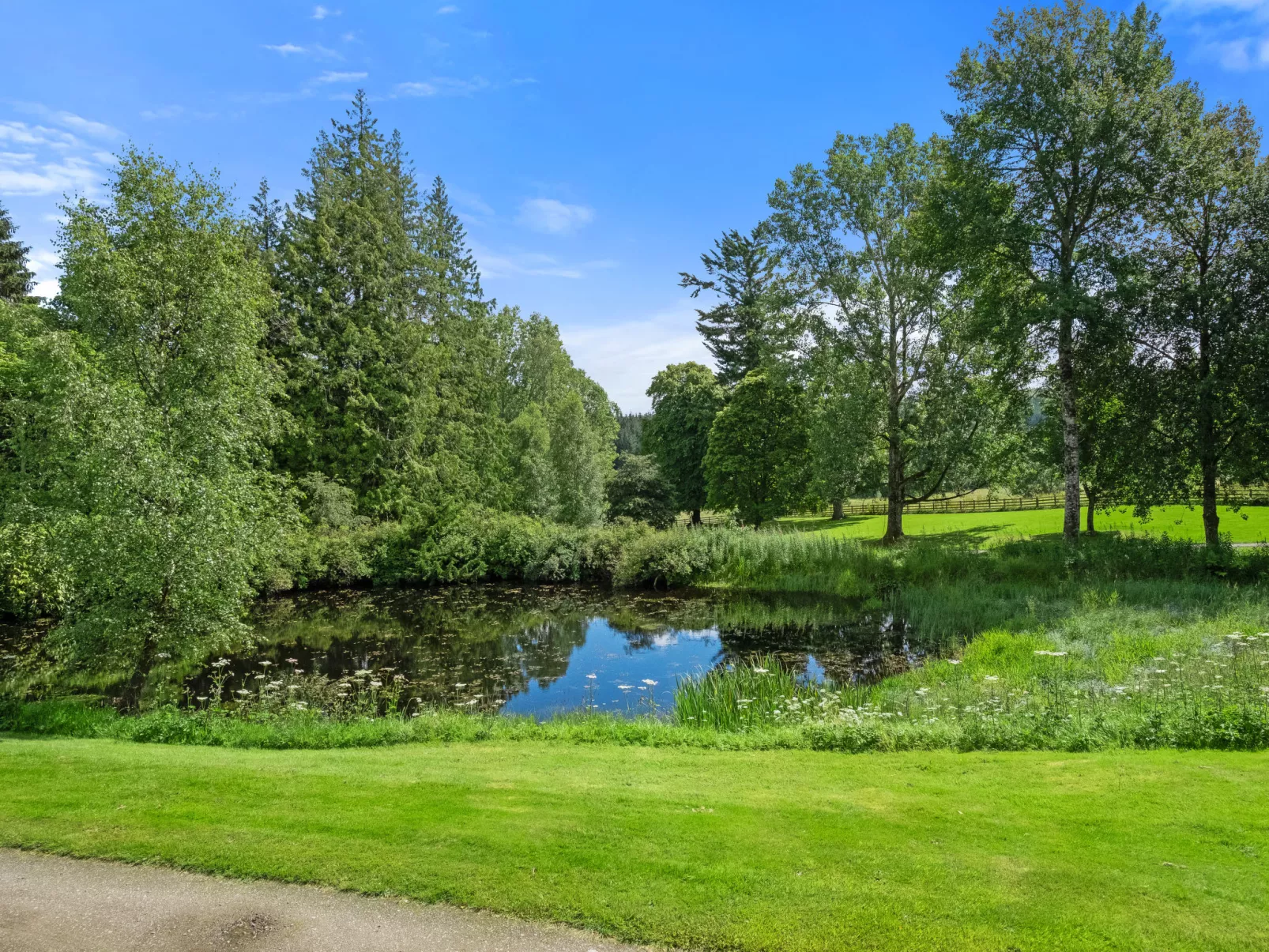 Pond View - Buiten