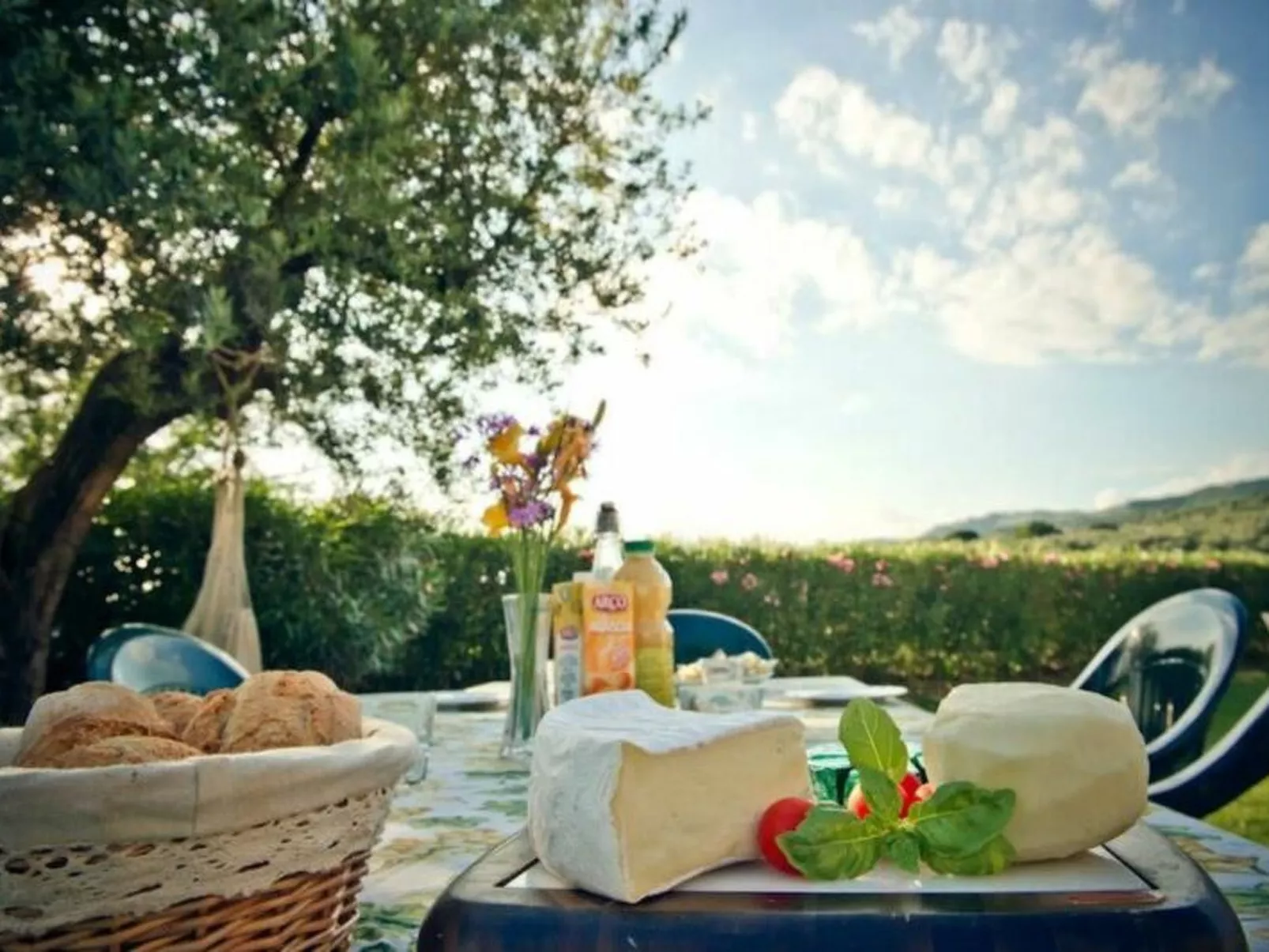 Il Fienile Holiday Home - Buiten