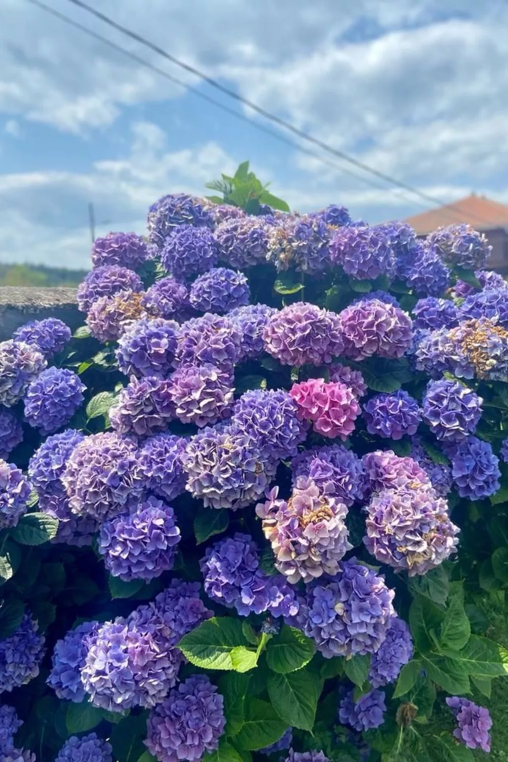 Ländliches Anwesen "Mar y Montaña" (Meer und Berge) - Buiten