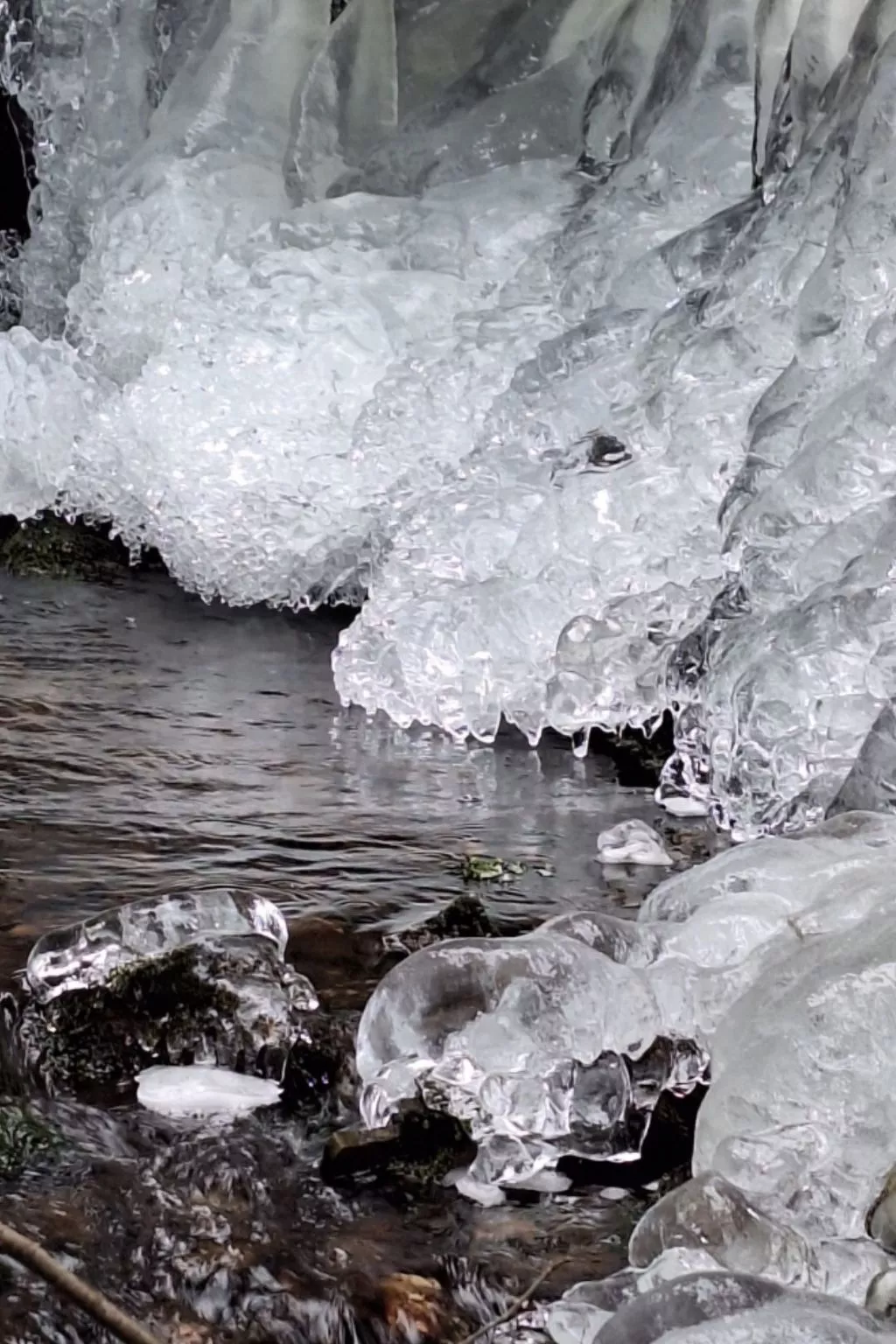 Gästezimmer mit Blick auf die Berge - Buiten