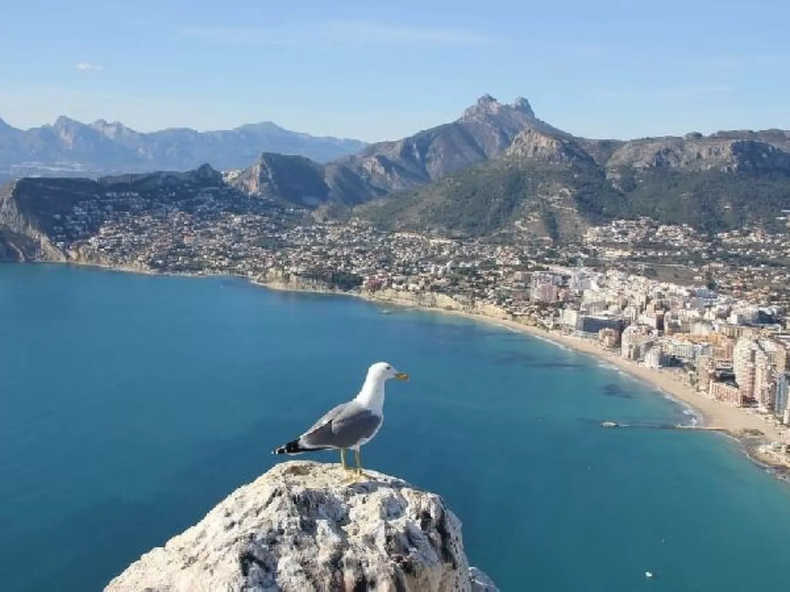 Villa Senieta - PlusHolidays - Image-tags.info