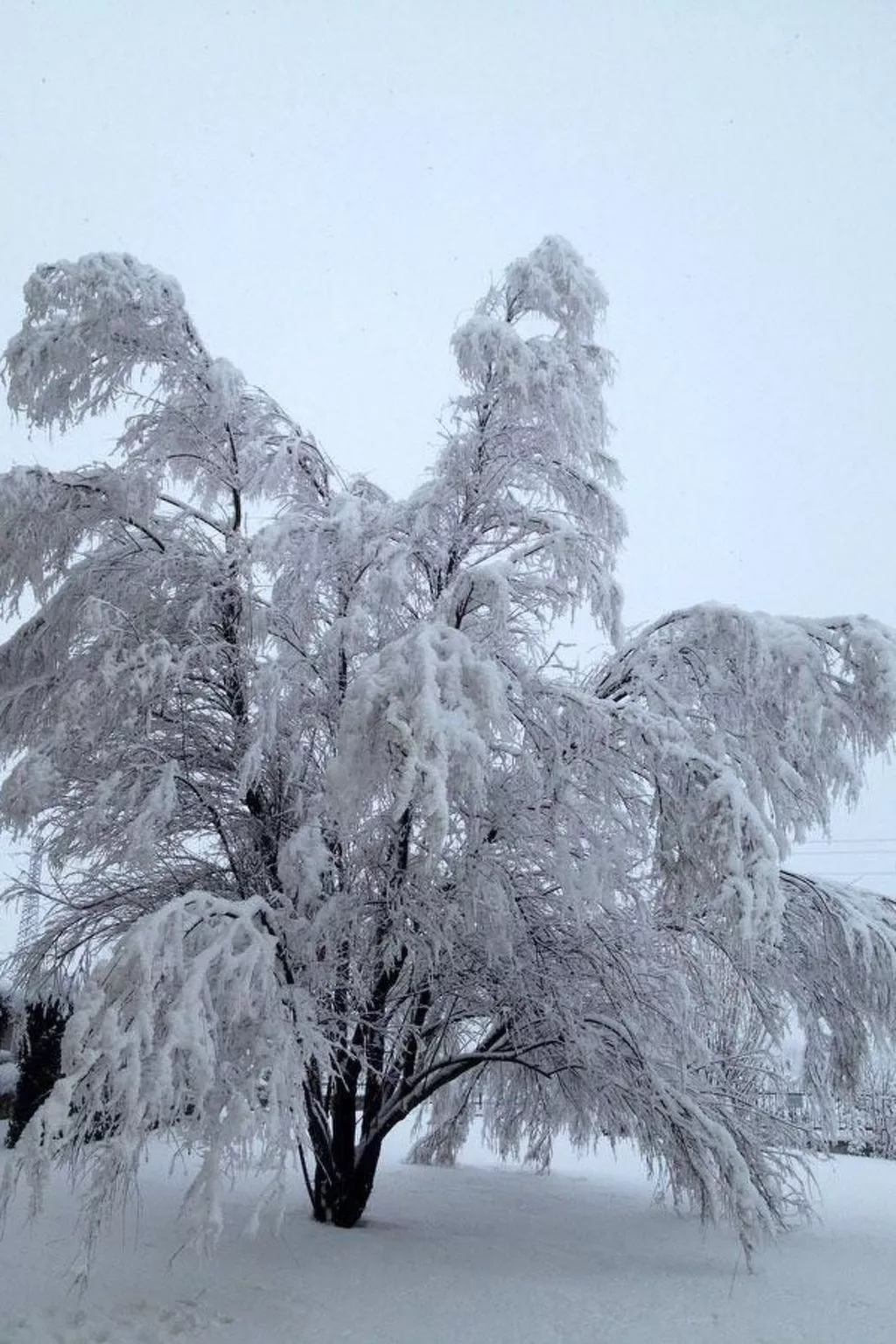 Gelbes Zimmer - Image-tags.info