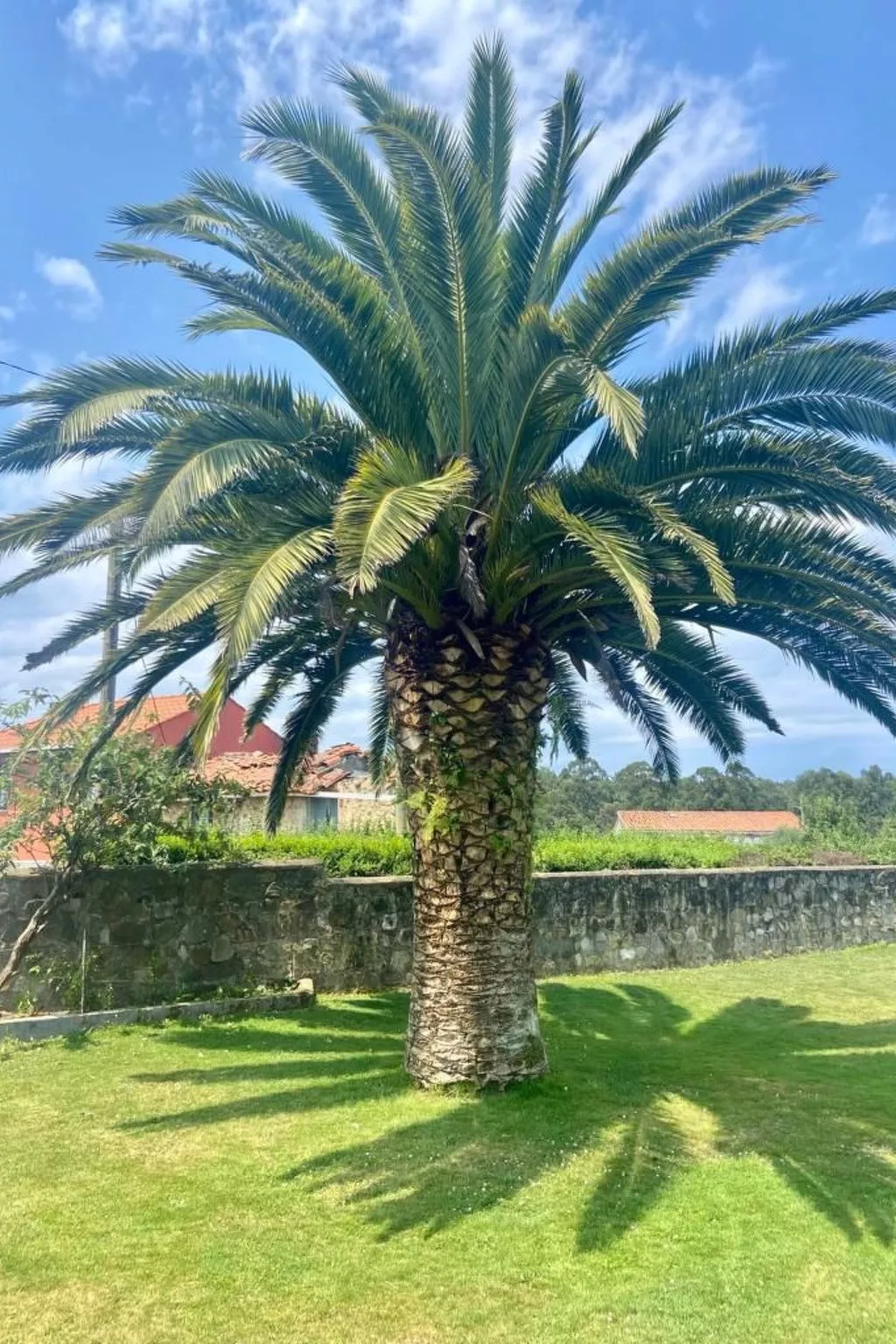 Ländliches Anwesen "Mar y Montaña" (Meer und Berge) - Buiten