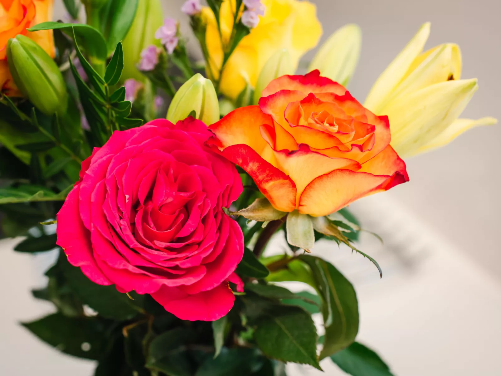 Waters Edge - Binnen