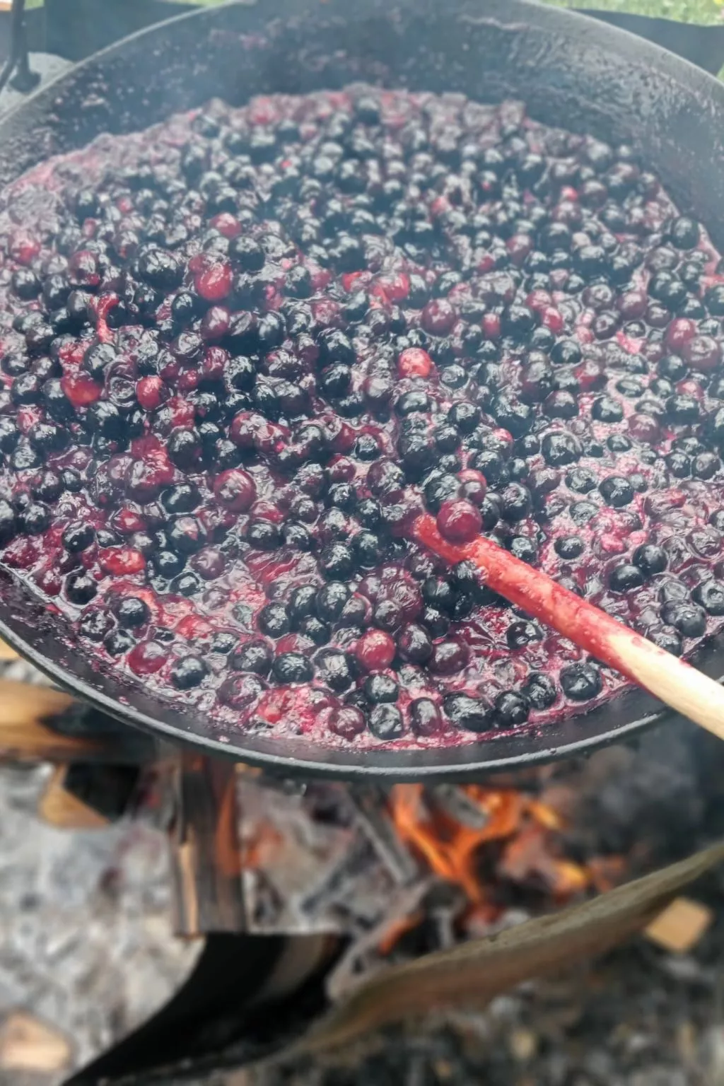 Vila Roberta Breaza Brasov - Binnen