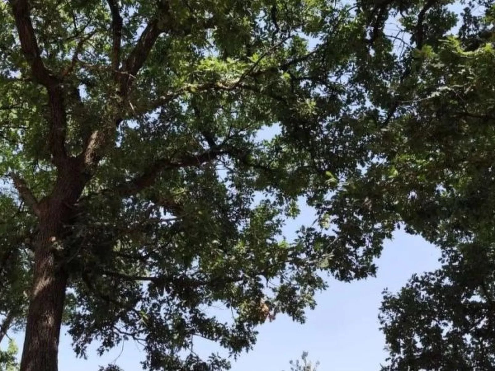 Zen Garden Villa with heated pool - Image-tags.info