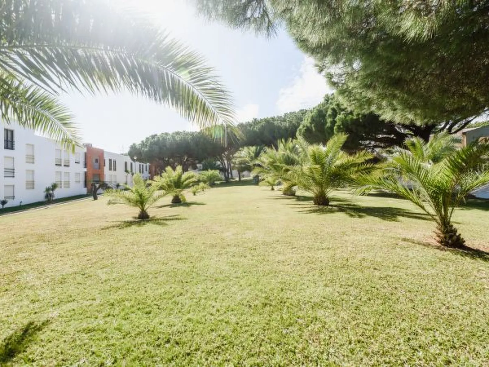 Aldeia das Açoteias Apartment - Buiten