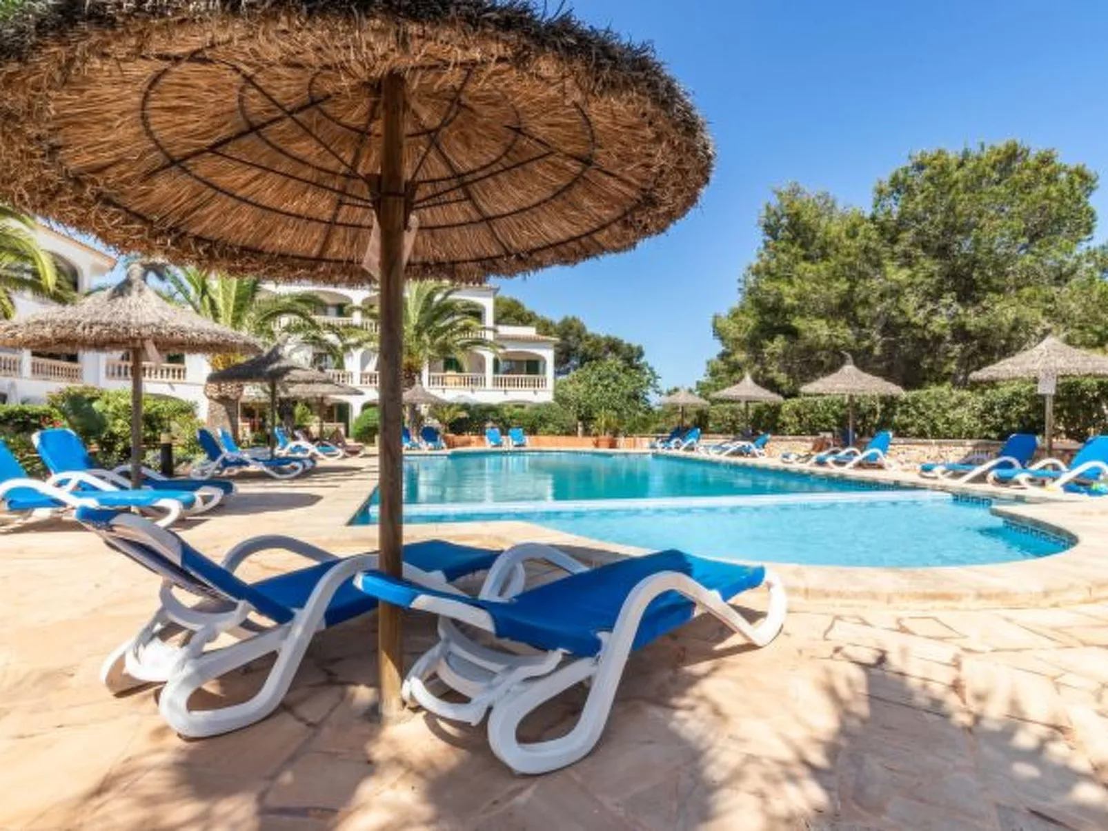 Apartment Buena Vista - Image-tags.info