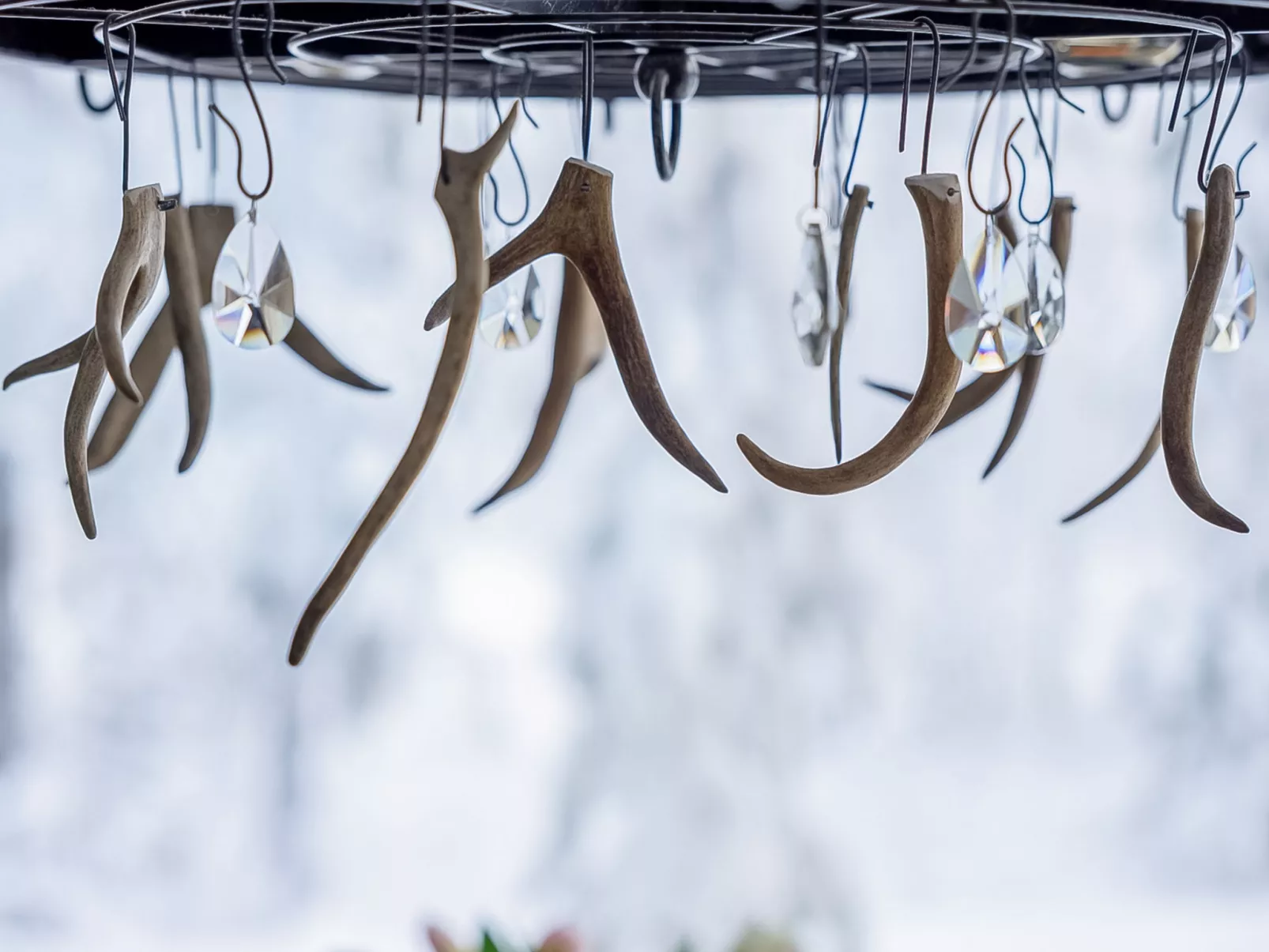 Loma-saaga 3 - Binnen