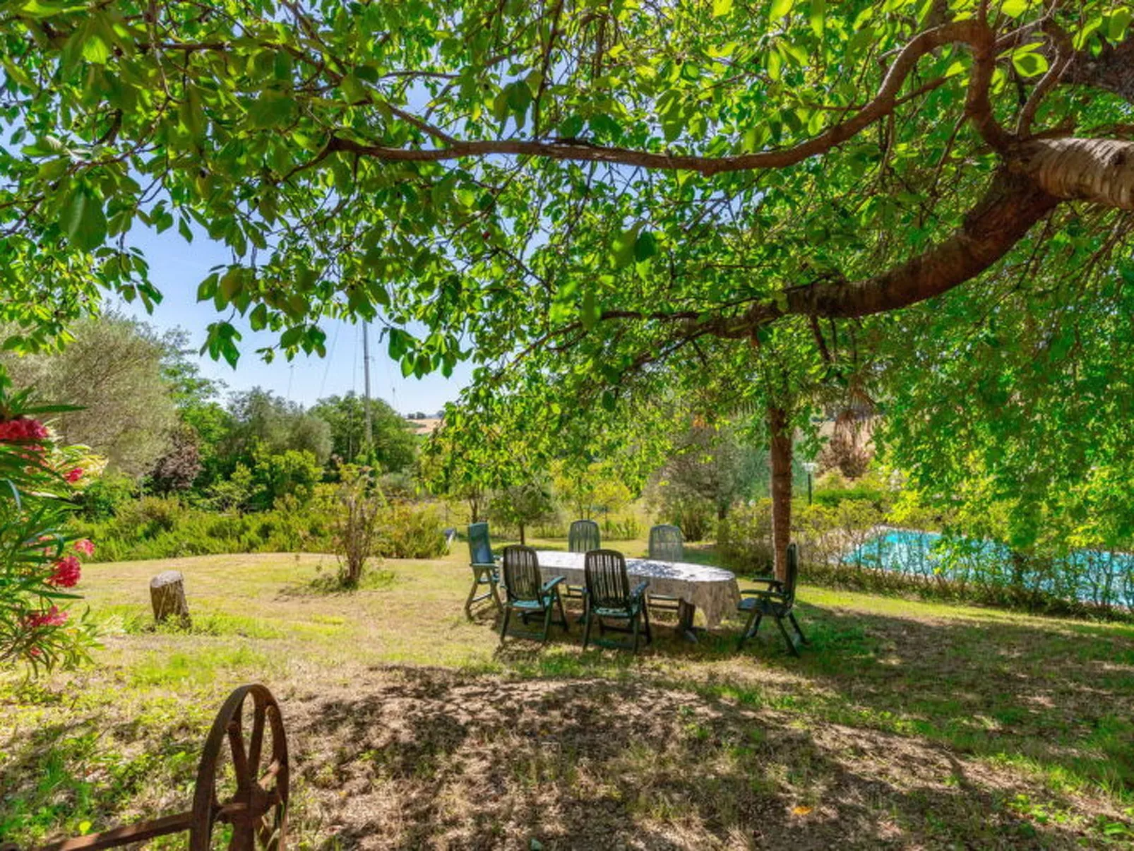 Villa La Pagliarina - Buiten