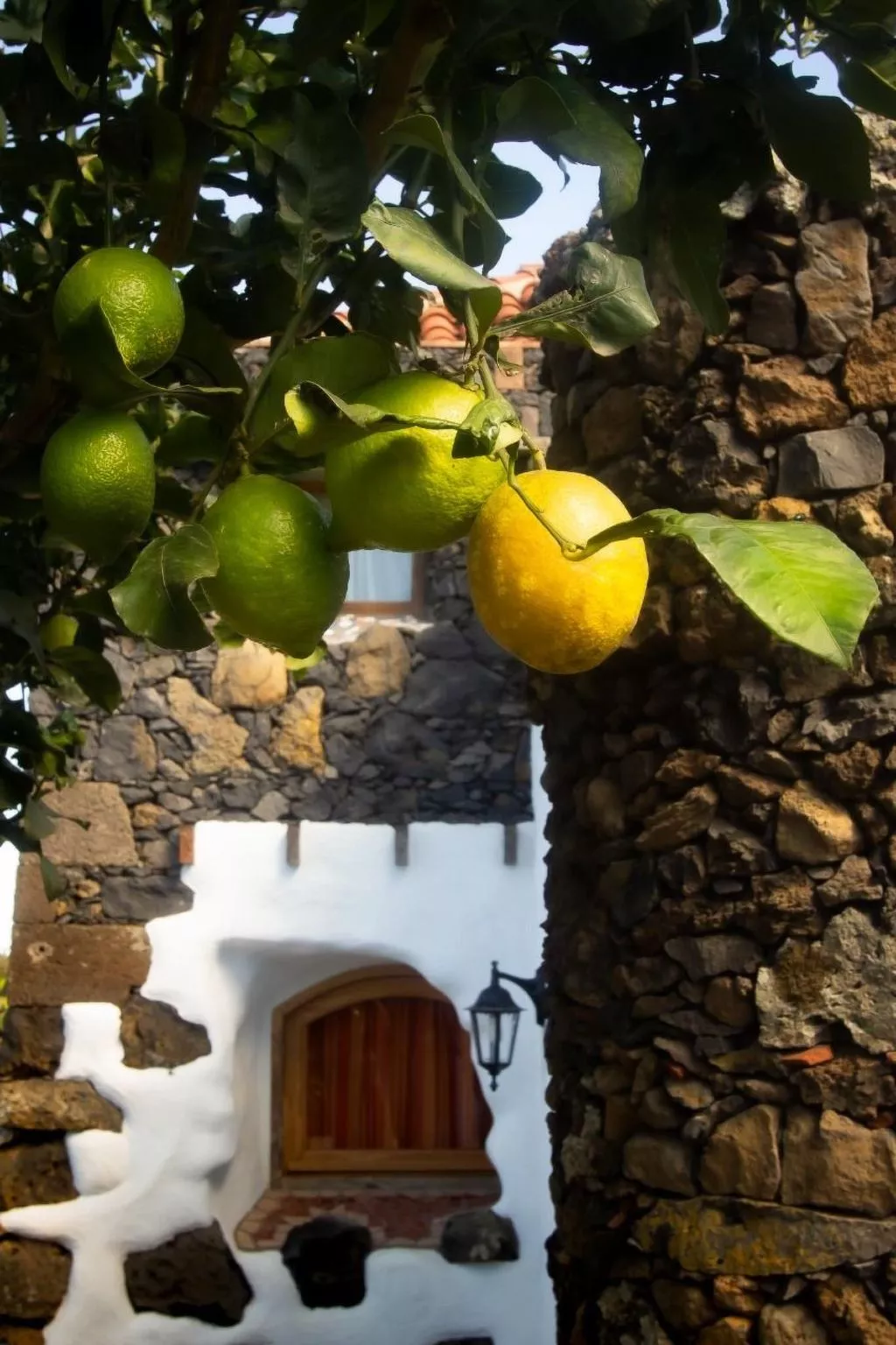 "Casa El Vallito" schönes Steinhaus - Buiten