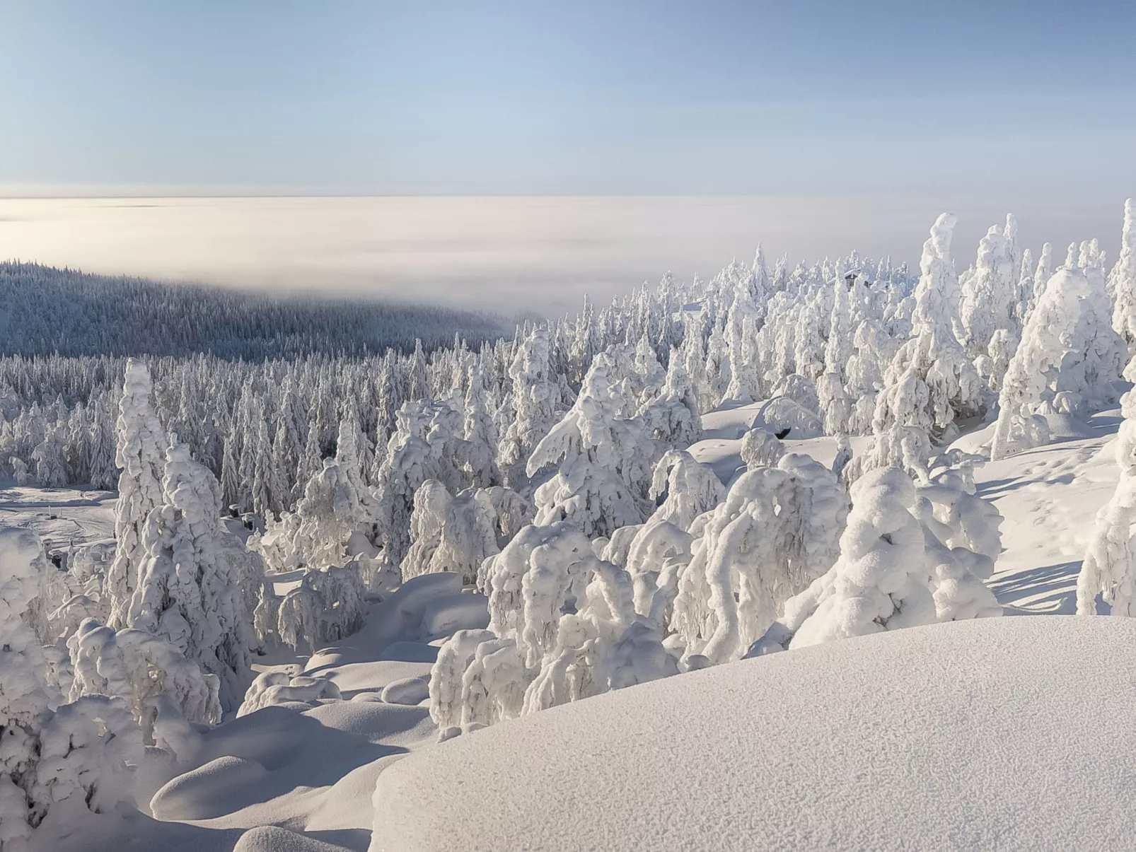 Loma-saaga 3 - Binnen