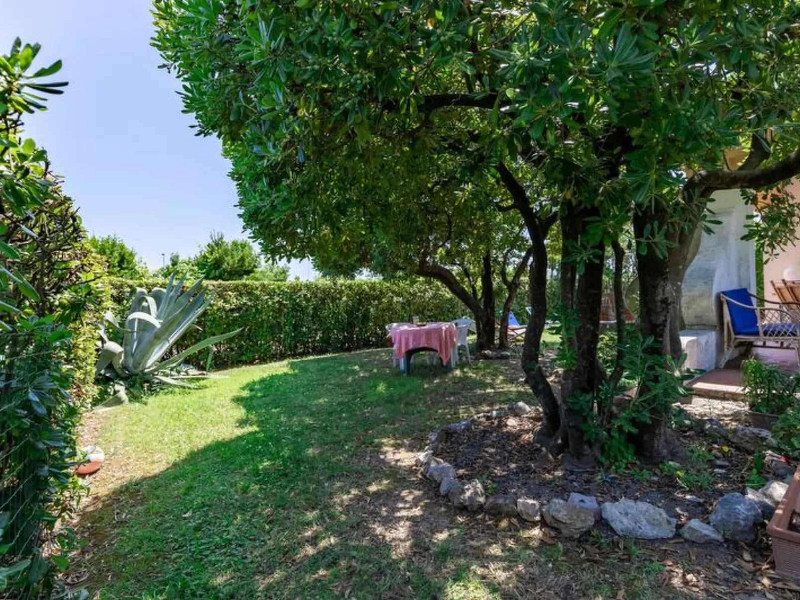 Villa Il Pesco - Buiten