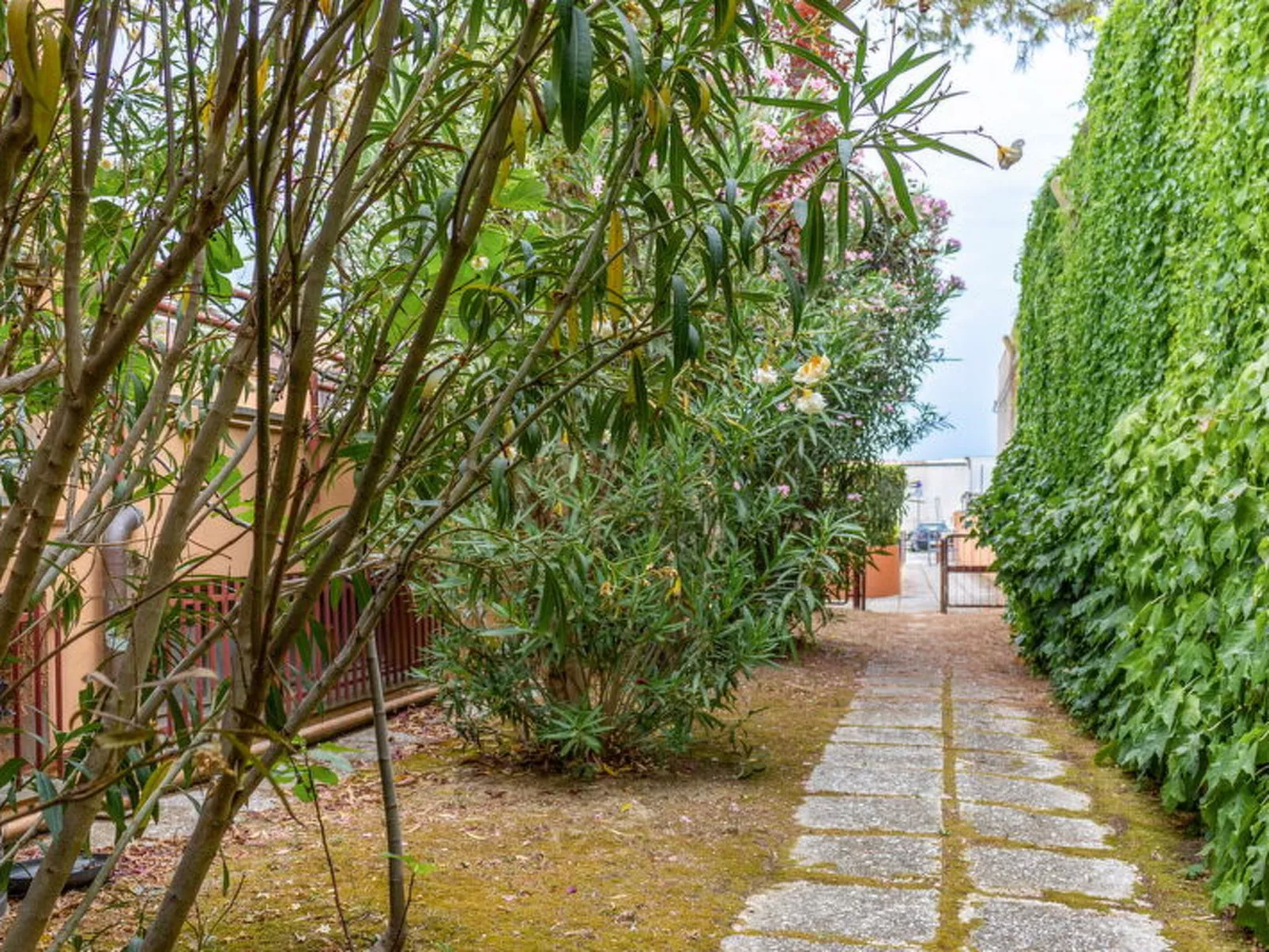 Fano Suite Apartment - Buiten