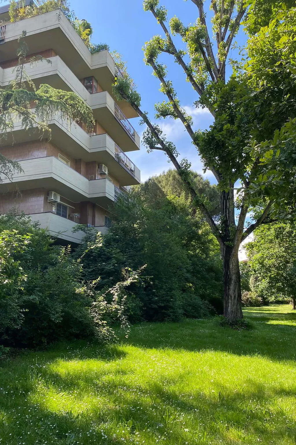 Suite Vogel - Buiten