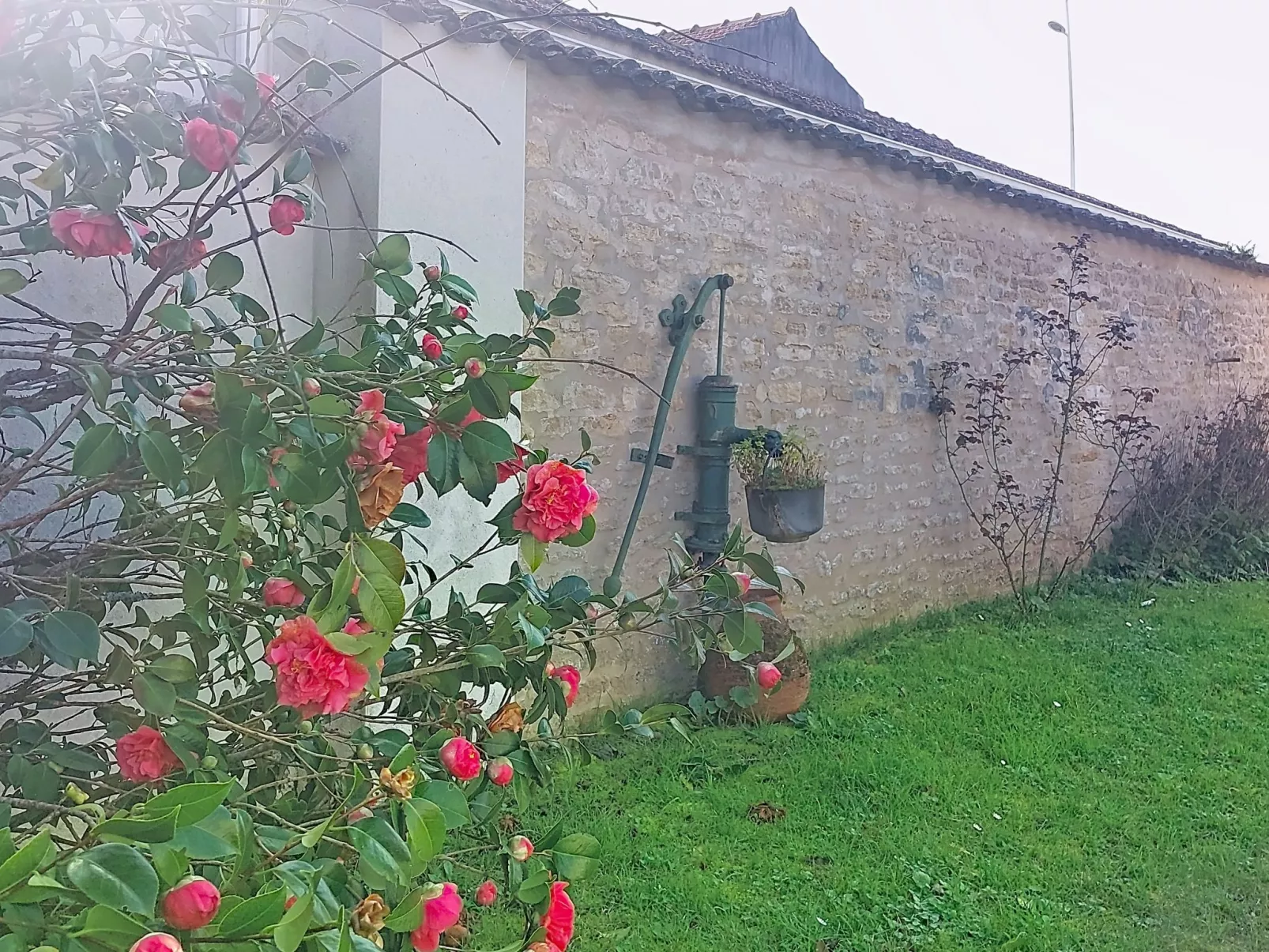 Le Château 3 - Buiten