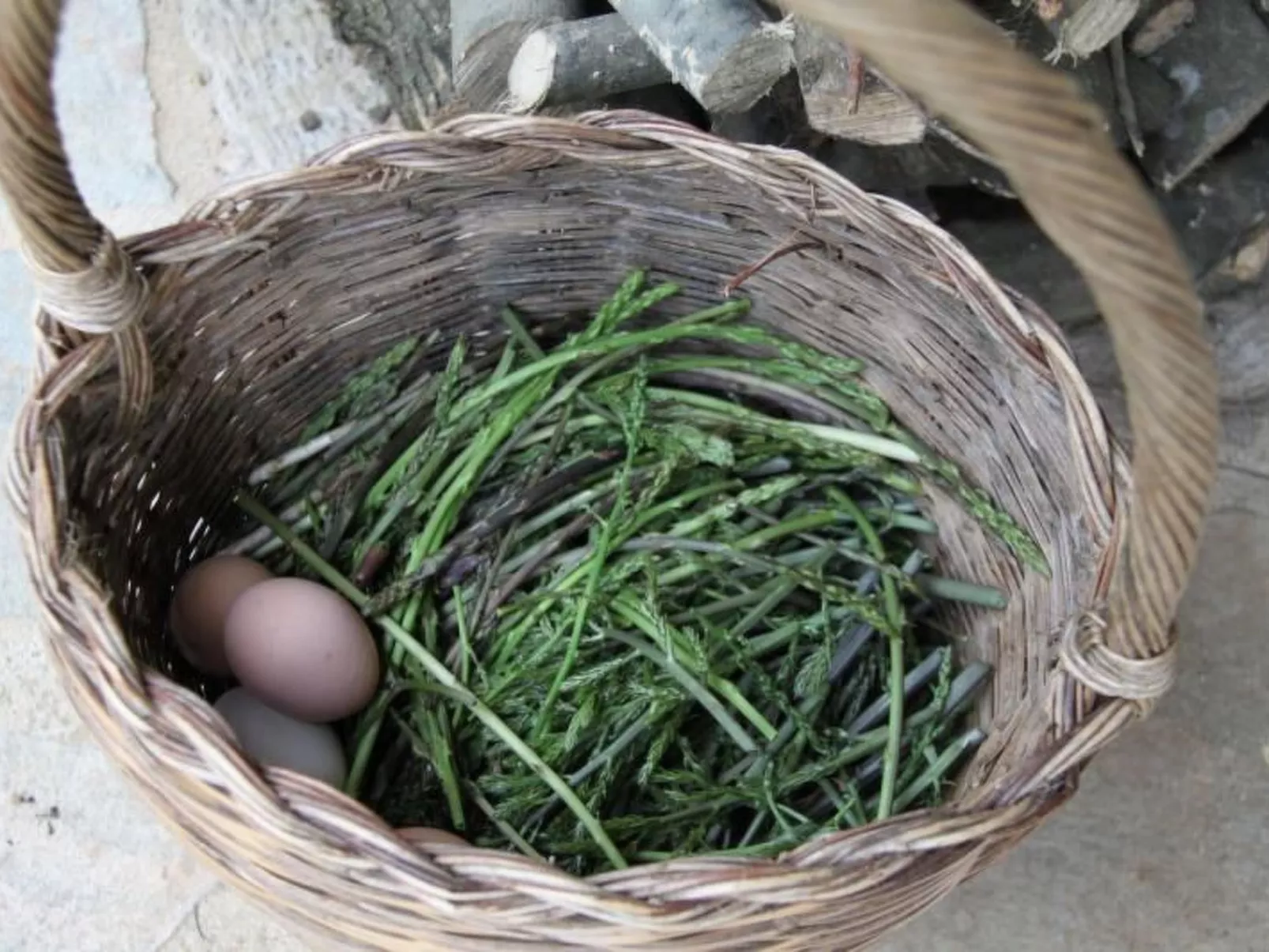 Landgut mit Blick auf das Wasser - Binnen