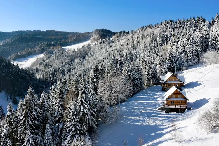 Dom wakacyjny dla 8 osób w Piwnicznej Zdroju - Exterieur winter