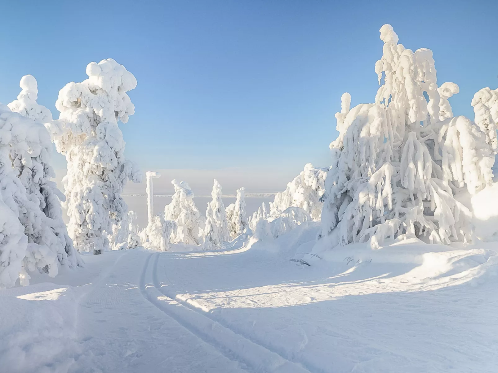 Loma-saaga 3 - Binnen