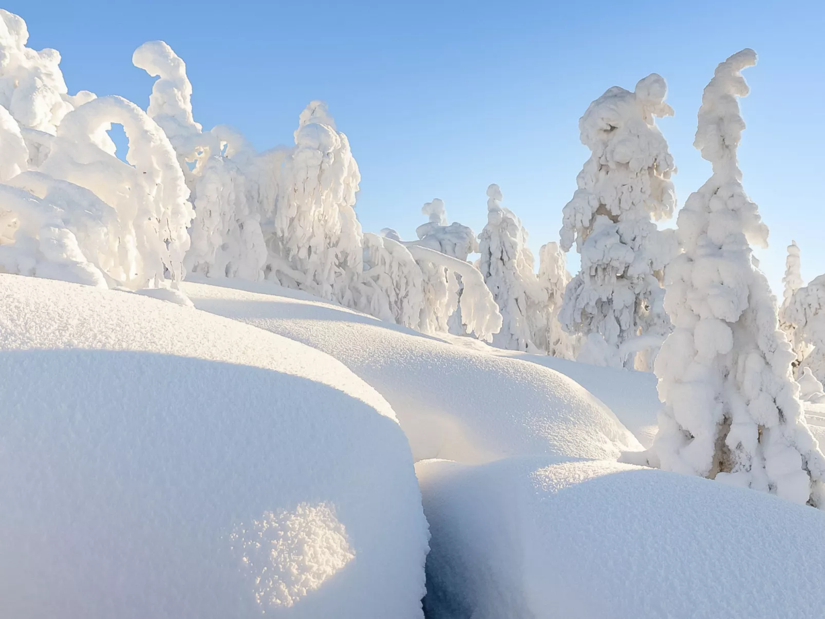 Loma-saaga 3 - Binnen
