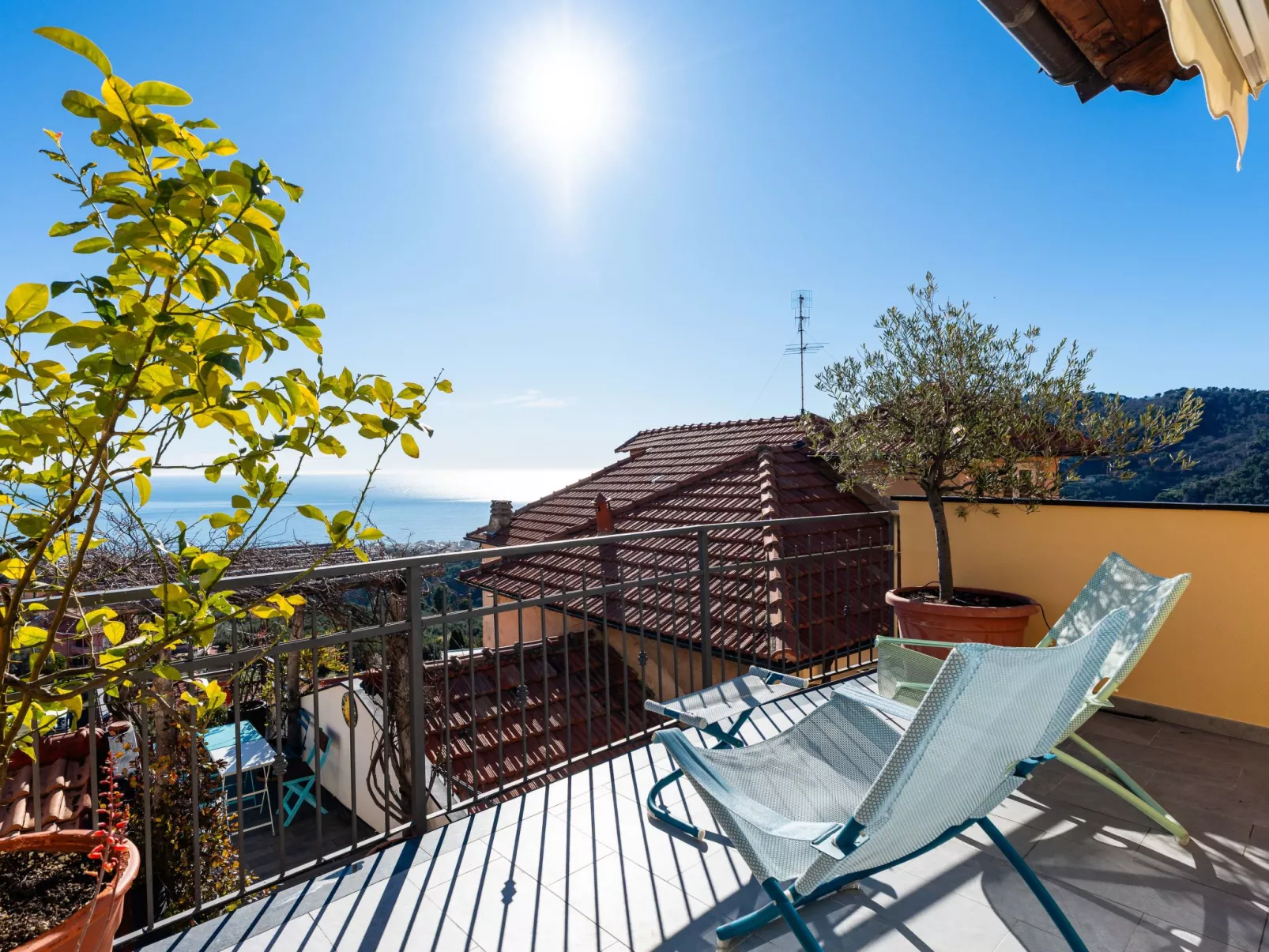 Terrazza con glicine