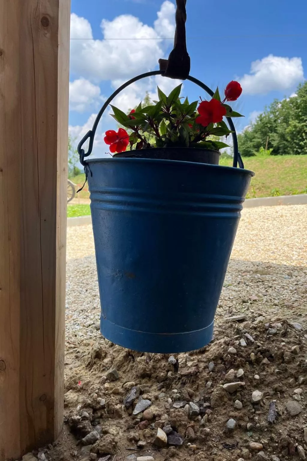 Orchideen-Zimmer - Image-tags.info