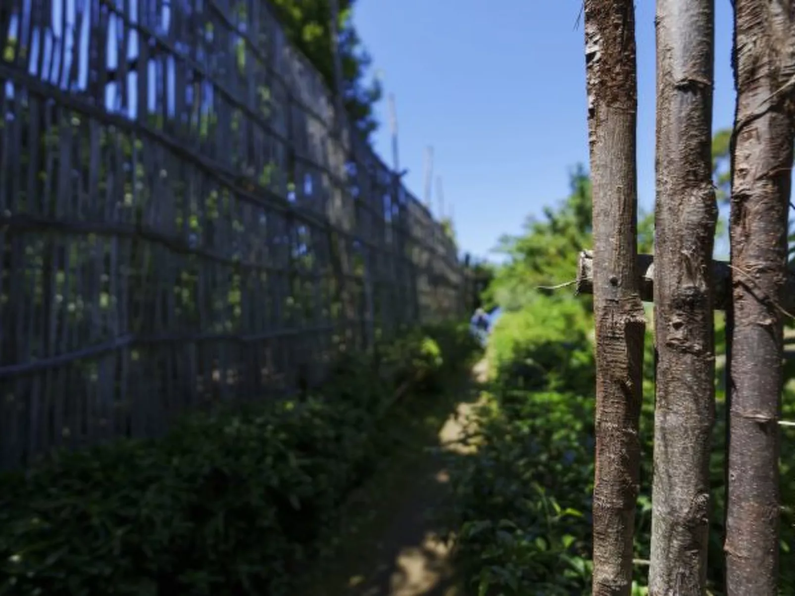 La Veranda di Villa Preziosa al Pizzo - Image-tags.info