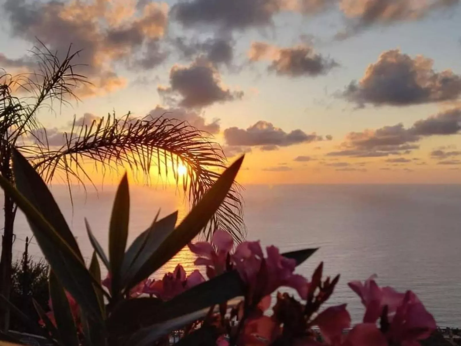 Villa Panorama Wohnung in privater Villa - Buiten