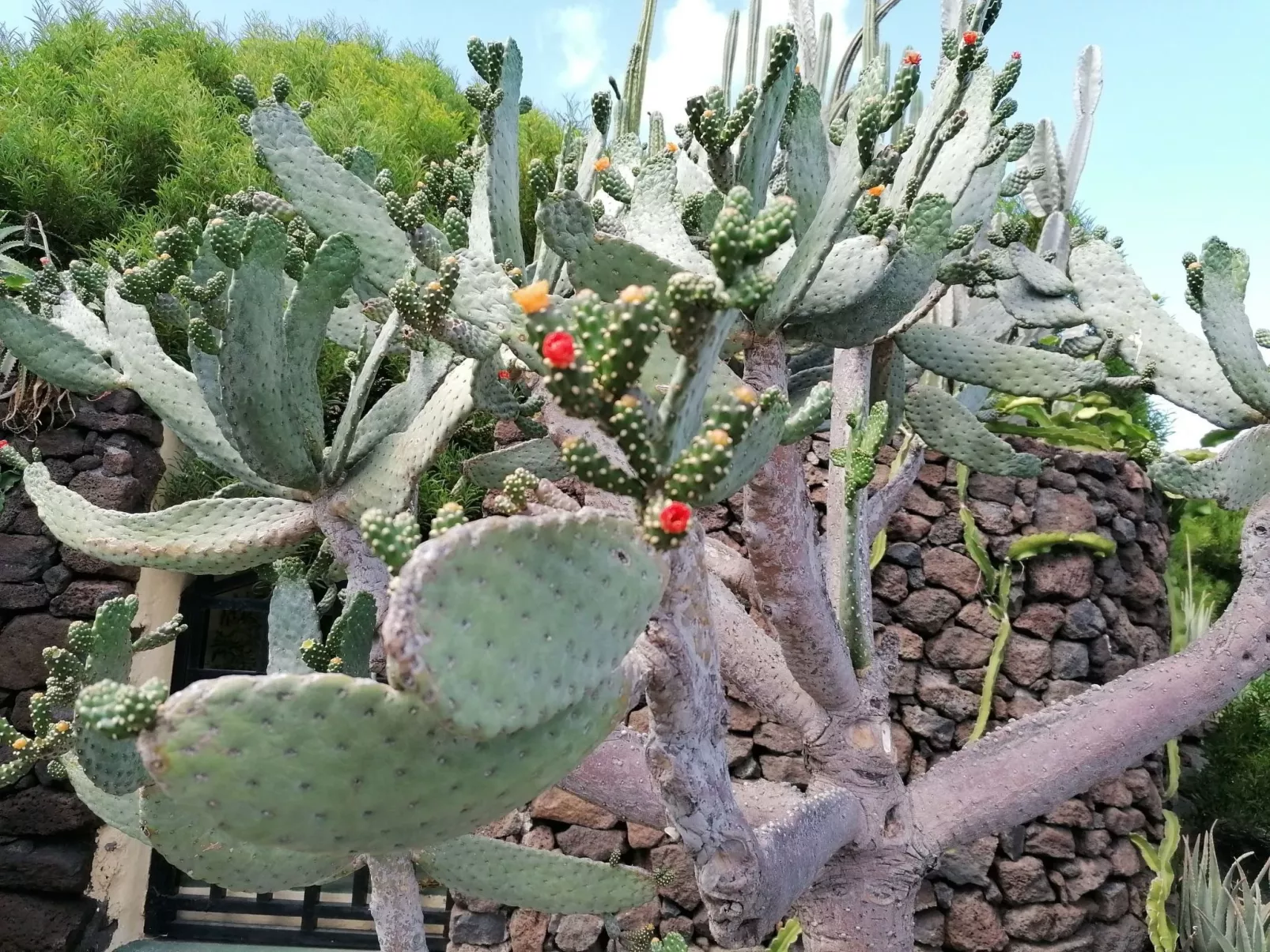 Mit Whirlpool - Buiten