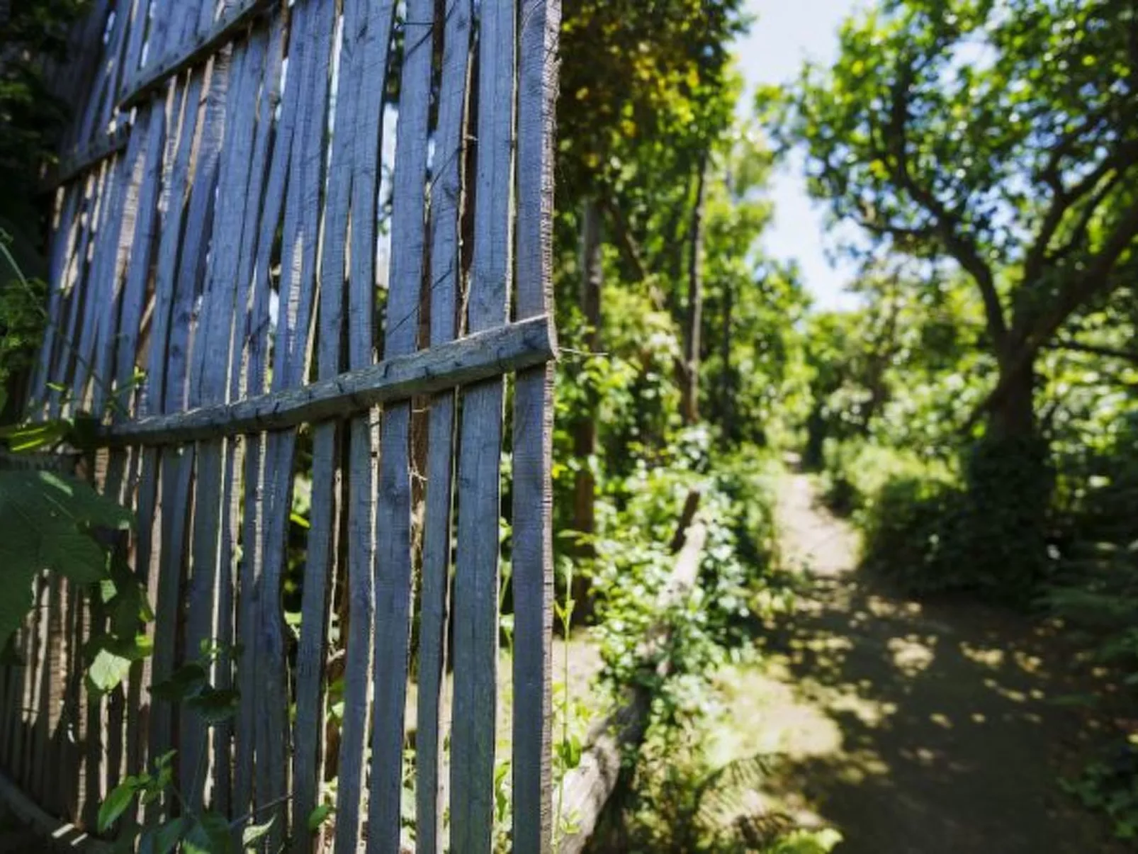 La Veranda di Villa Preziosa al Pizzo - Image-tags.info