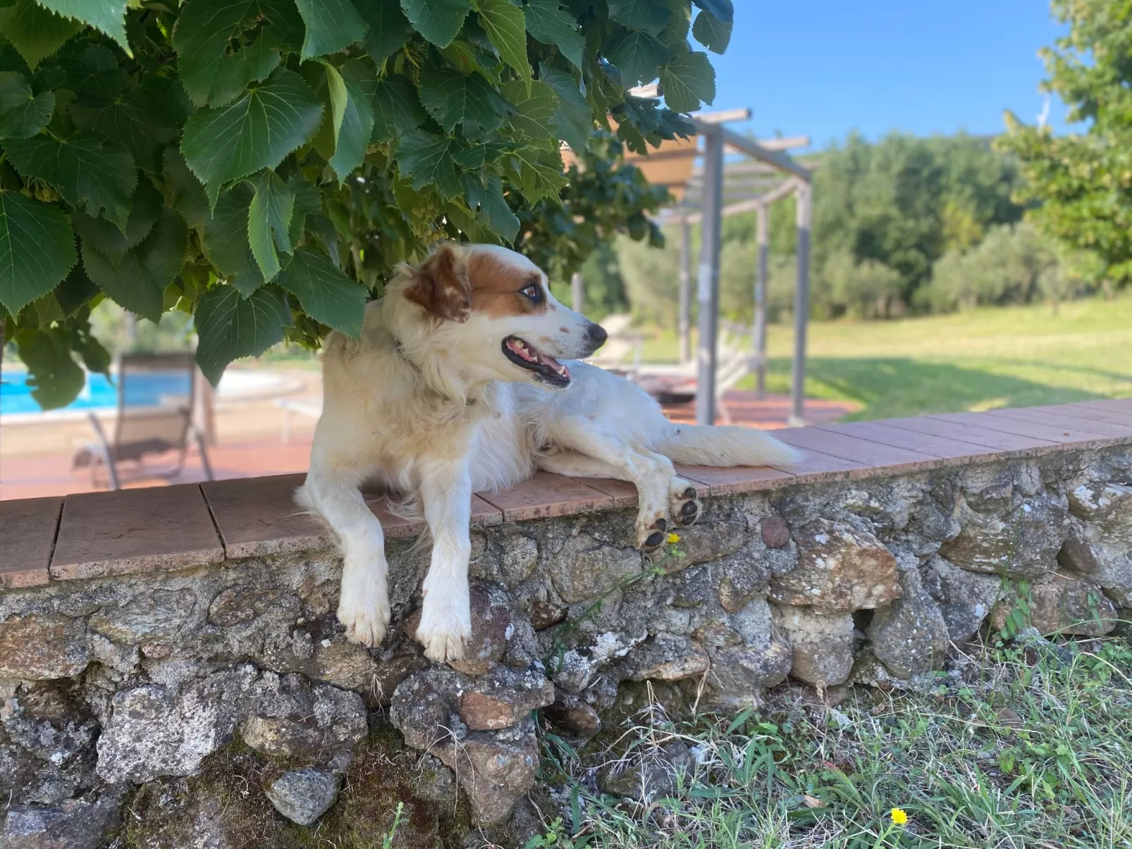 Landgut mit Blick auf das Wasser - Image-tags.info