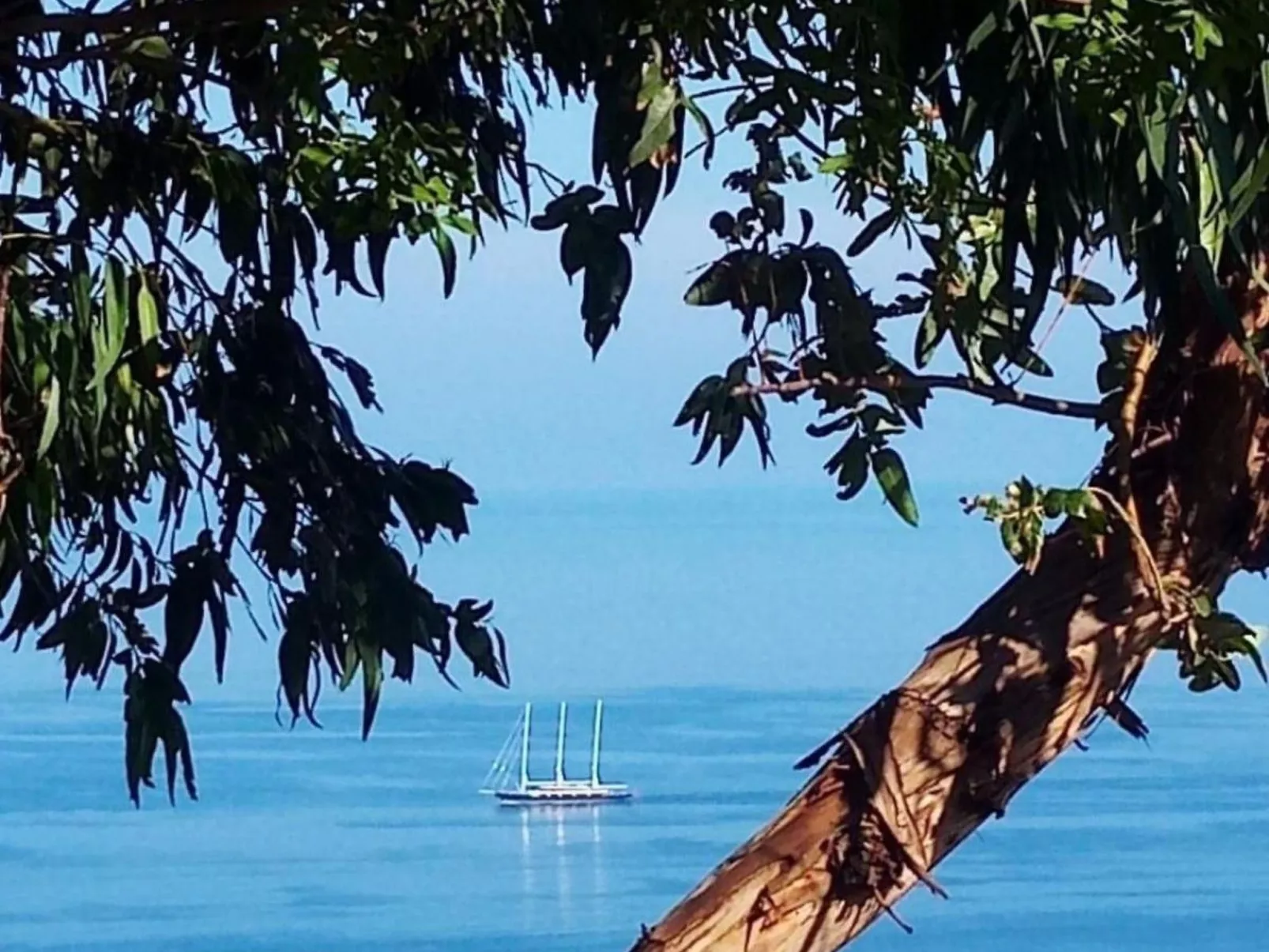 Villa Panorama Wohnung in privater Villa - Buiten