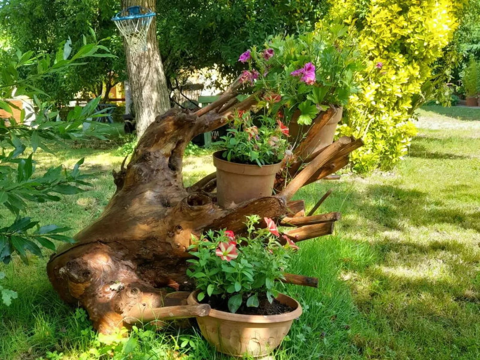 Podere Vallino - Buiten