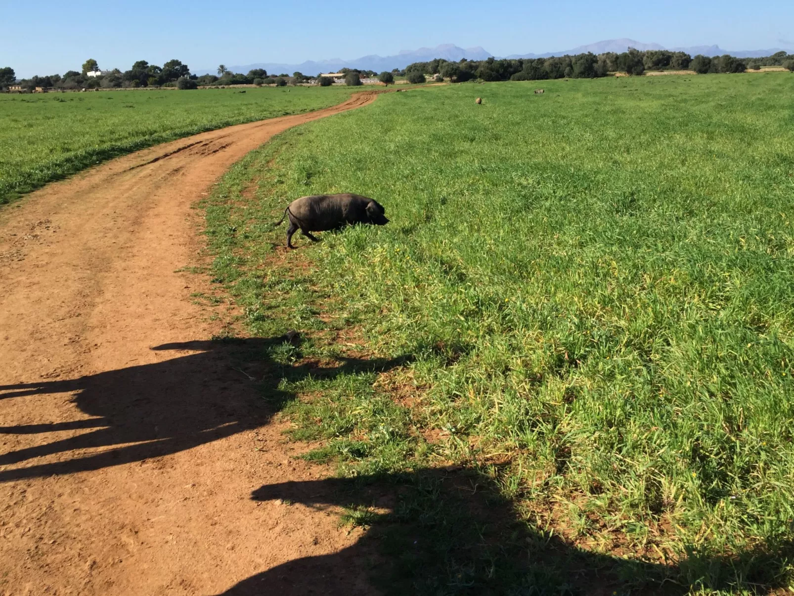 Strandvilla Beach and Ocean in Son Serra De Mari - Binnen
