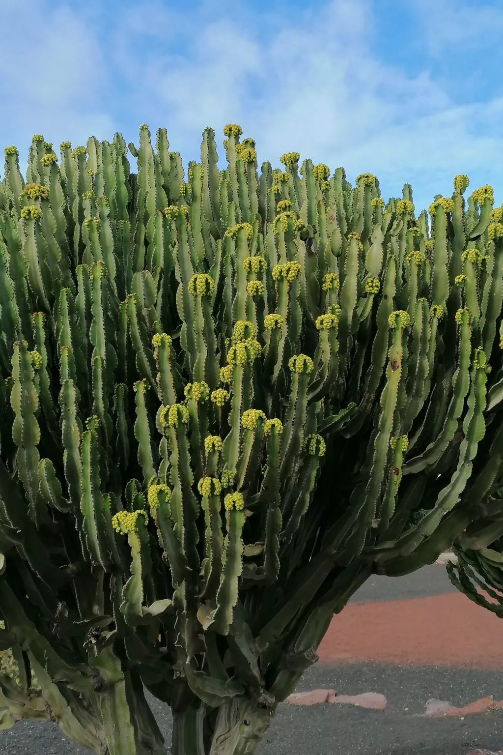 Mit Whirlpool - Buiten