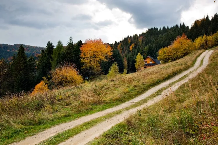 Dom wakacyjny dla 8 osób w Piwnicznej Zdroju - Gebieden zomer 1km