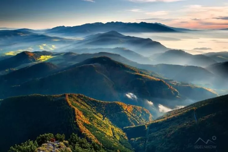 Dom wakacyjny dla 8 osób w Piwnicznej Zdroju - Gebieden zomer 1km